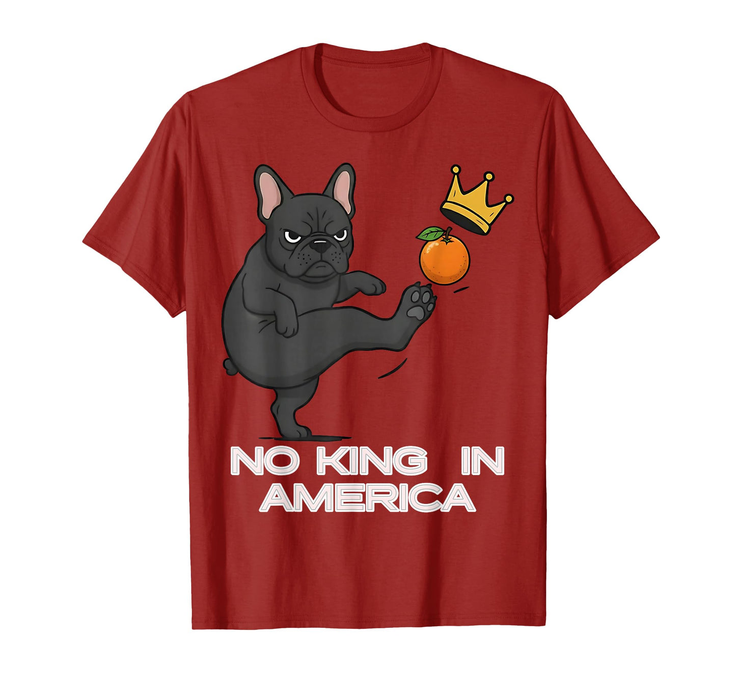 No Kings Protest Sign, We The People, in America No Kings T-Shirt