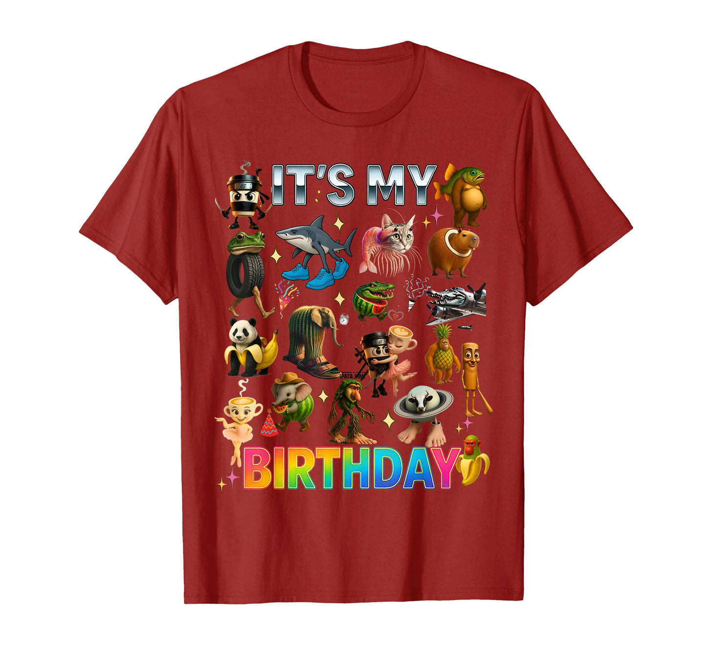 Italian Brainrot Meme It’s My Birthday Kids Boys Girls Teens T-Shirt