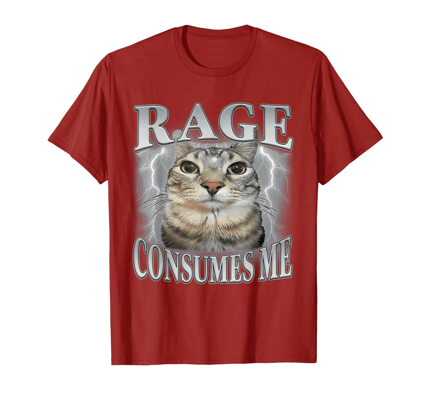 Rage Consumes Me Funny Silly Staring Cat Meme Women Men T-Shirt