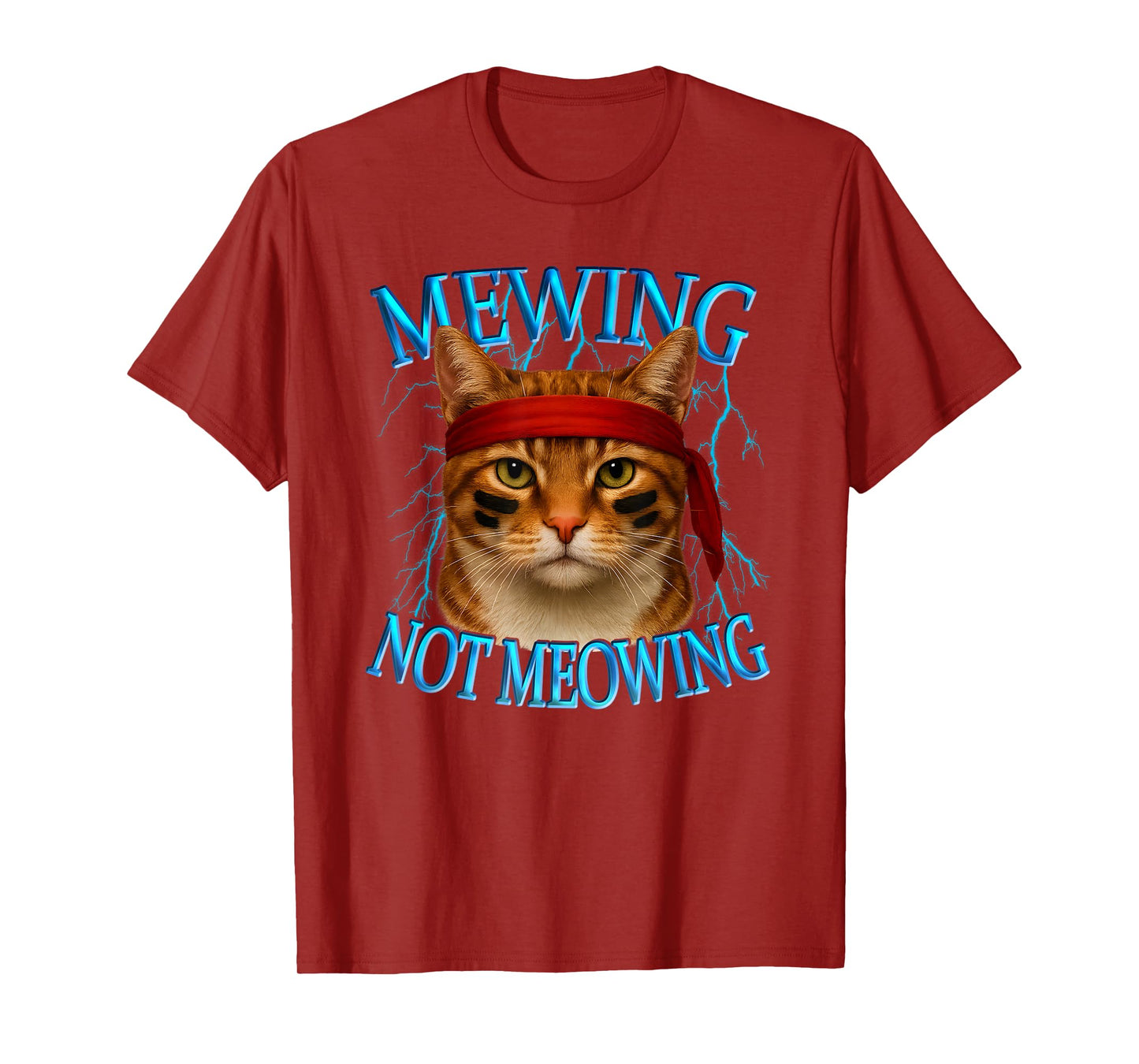 Orange Tabby Cat Meme Internet Sarcastic Mewing Not Meowing T-Shirt