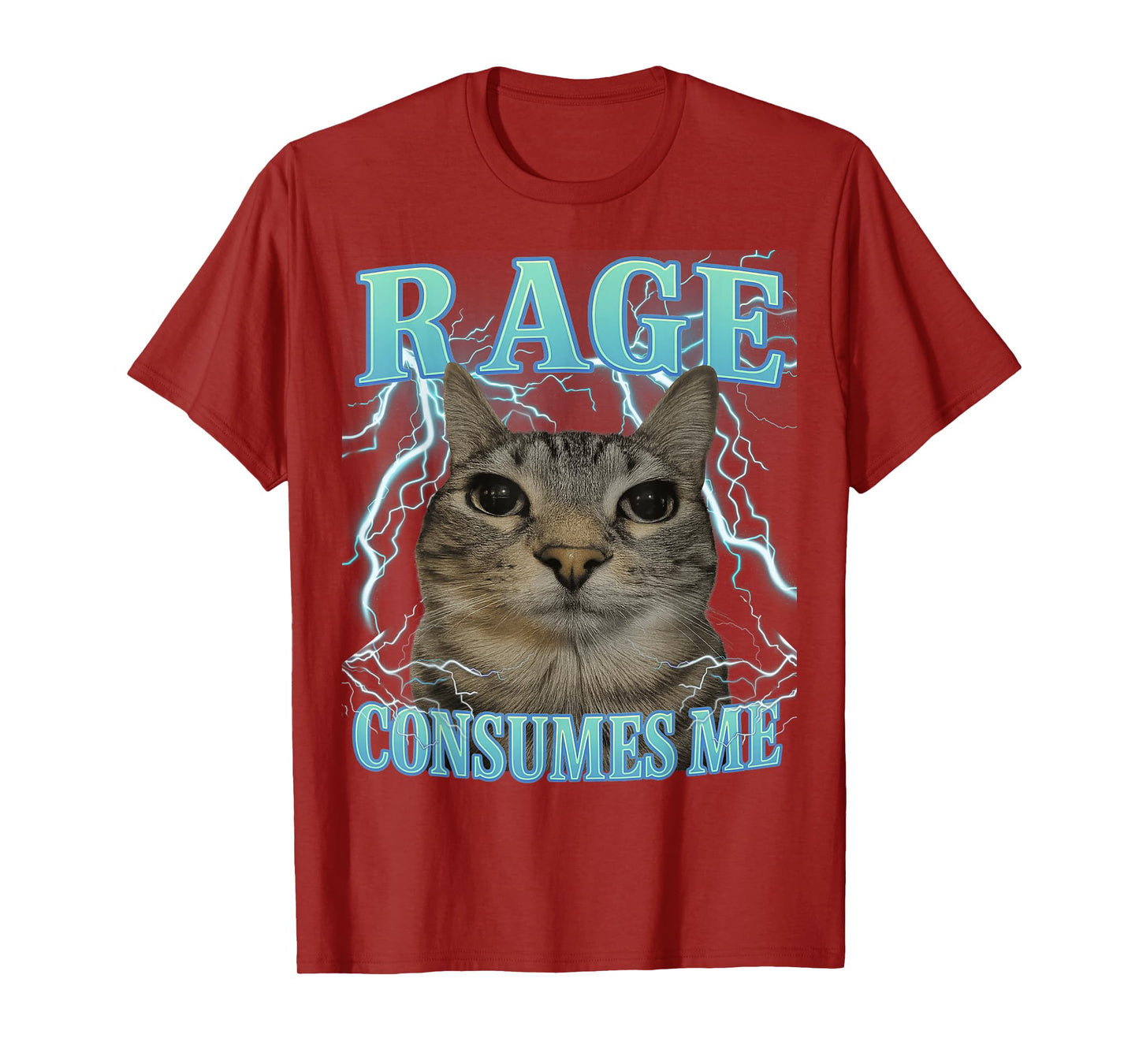 Rage Consumes Me Cat Silly Cat Meme Funny Men Women Graphic T-Shirt