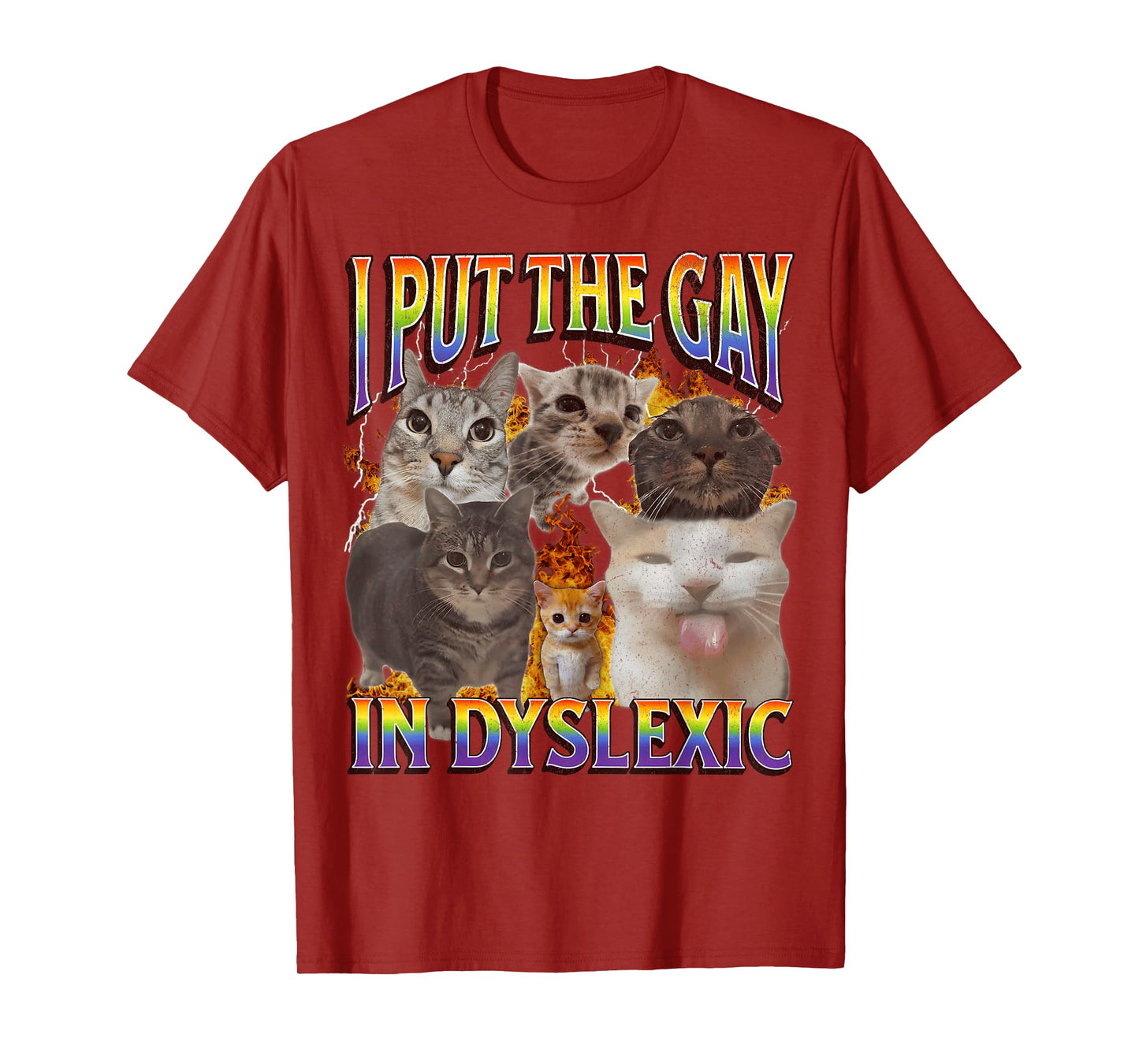 I Put The Gay In Dyslexic Funny Cat Meme Bootleg Funny Retro T-Shirt