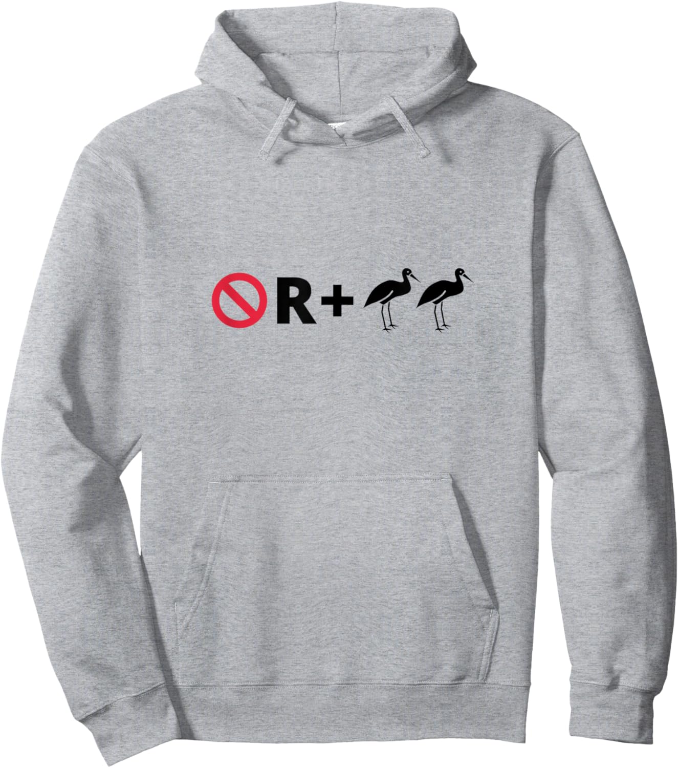 No R + Egrets Funny Pictogram Puzzle Pictograph Humor Hoodie - Hoodie | Ash
