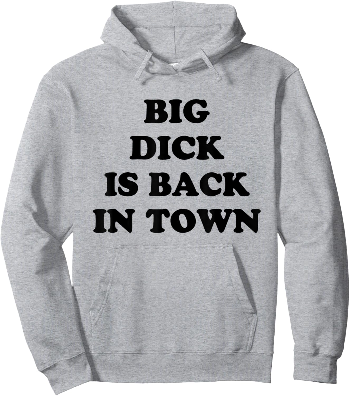 Big Dick Is Back In Town Funny Hoodie - Hoodie | Ash