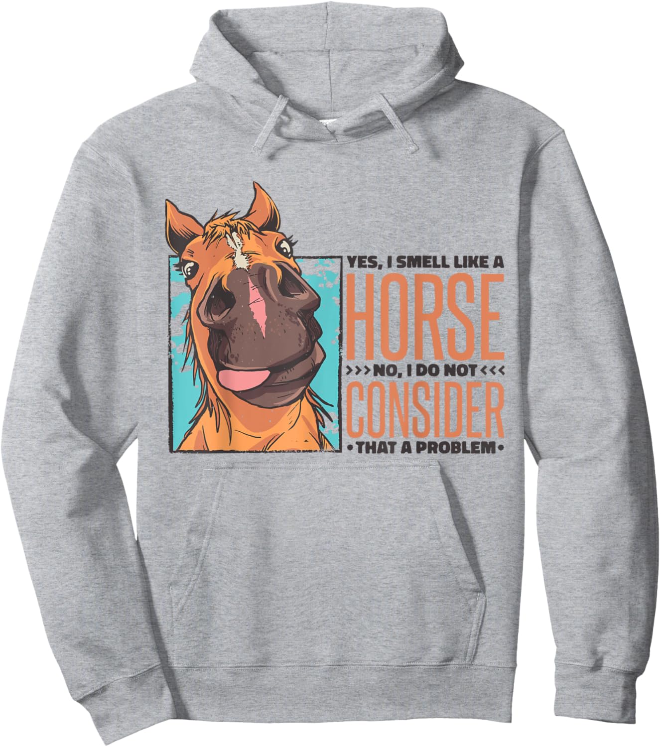 Yes I Smell Like A Horse No I Do Not Consider That A Problem Hoodie - Hoodie | Ash
