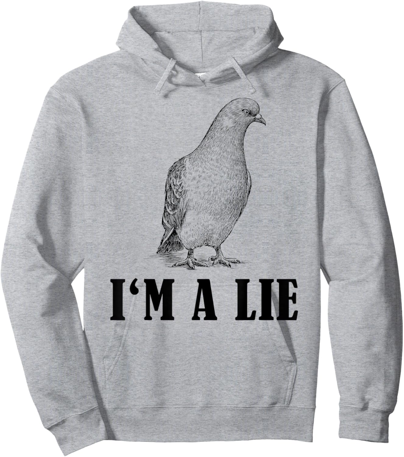 Birds Spie Conspiracy Joke Meme Surveillance | & Hoodie - Hoodie | Ash