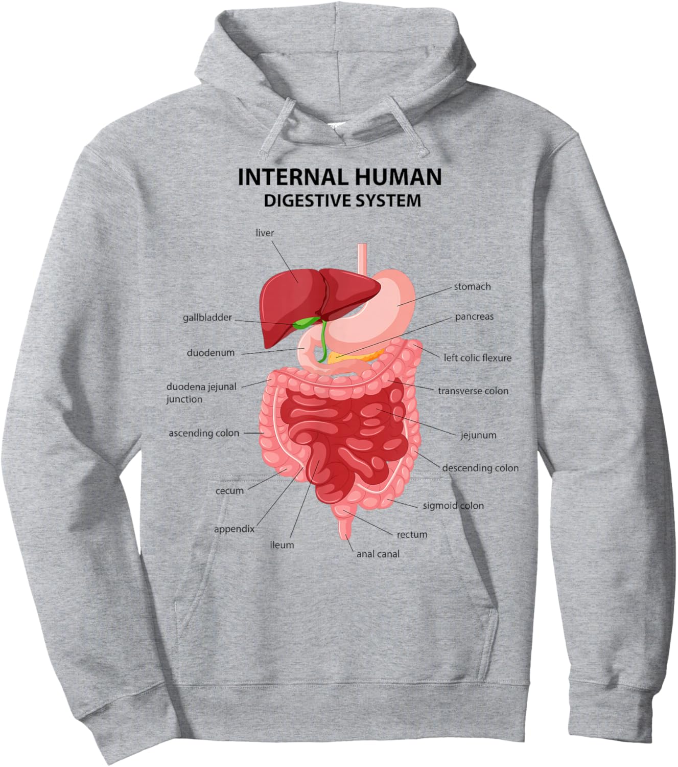 Funny Digestive System Anatomy Anatomical Biology Teacher Hoodie - Hoodie | Ash