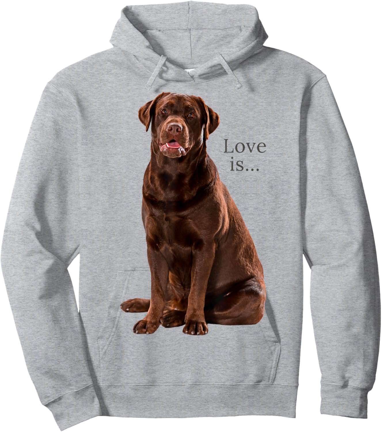 Chocolate Labrador Retriever Shirt Lab Dog Mom Dad Puppy Hoodie - Hoodie | Ash