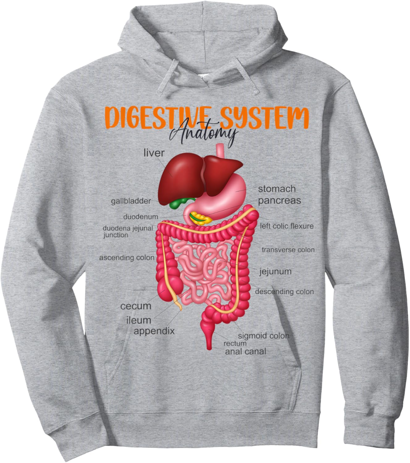 Funny Digestive System Anatomy Anatomical Biology Teacher Women Hoodie - Hoodie | Ash
