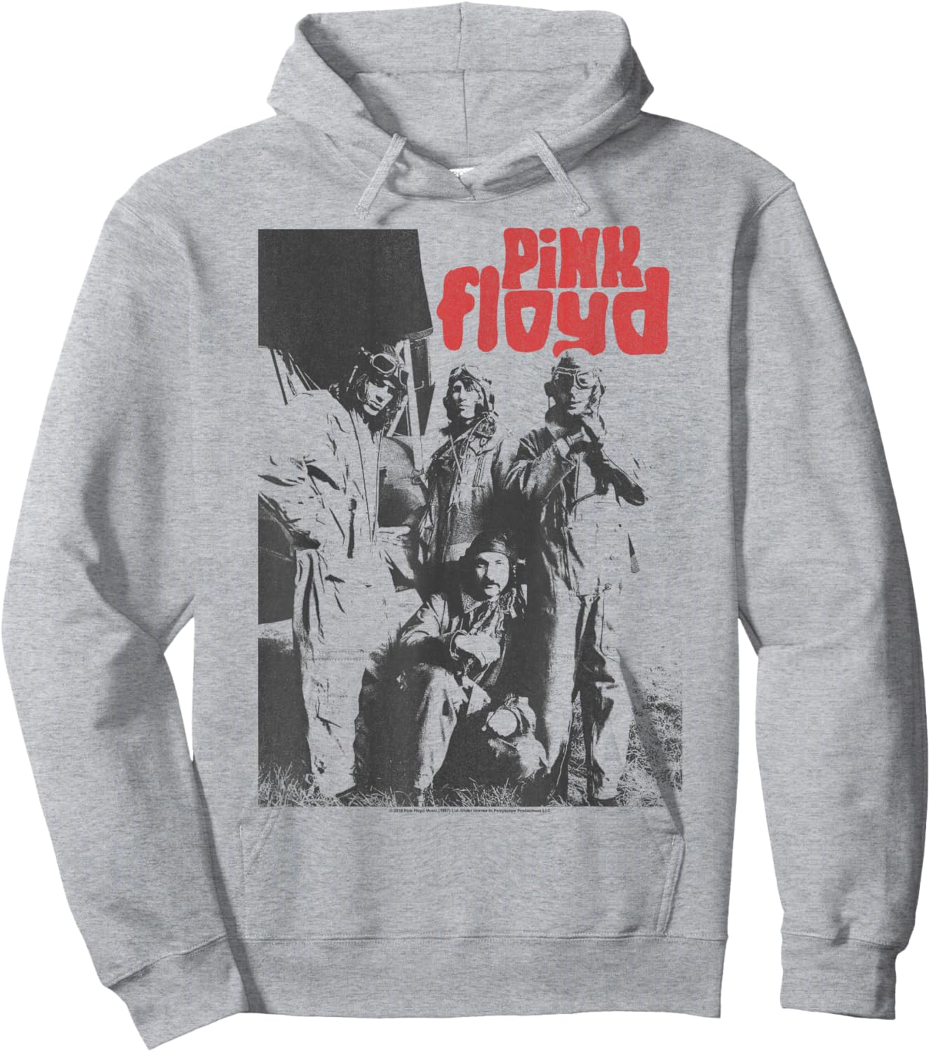 Pink Floyd Point Me at the Sky Hoodie - Hoodie | Ash