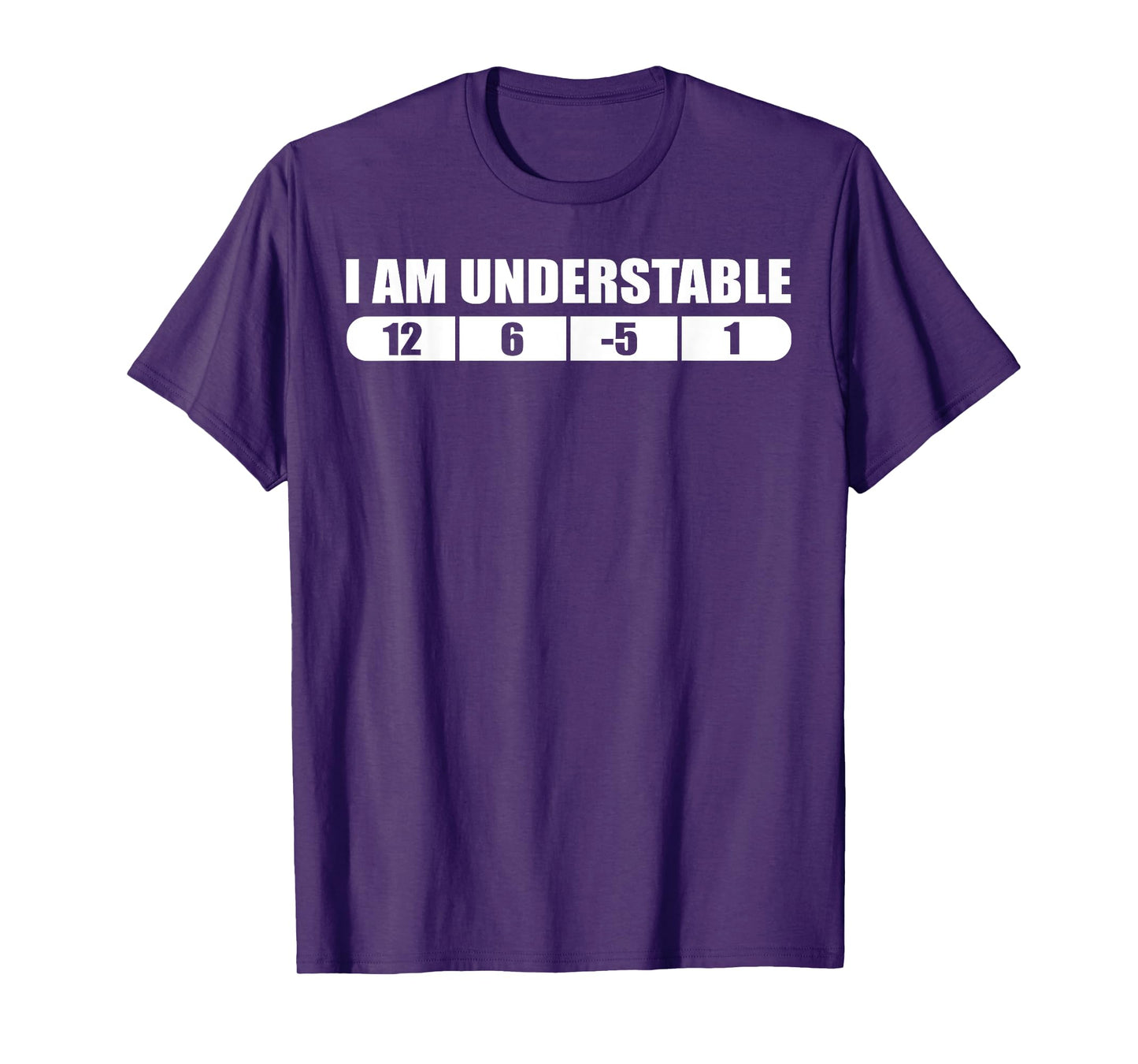 Funny Disc Golf Quote Design, I Am Understable Frisbee T-Shirt