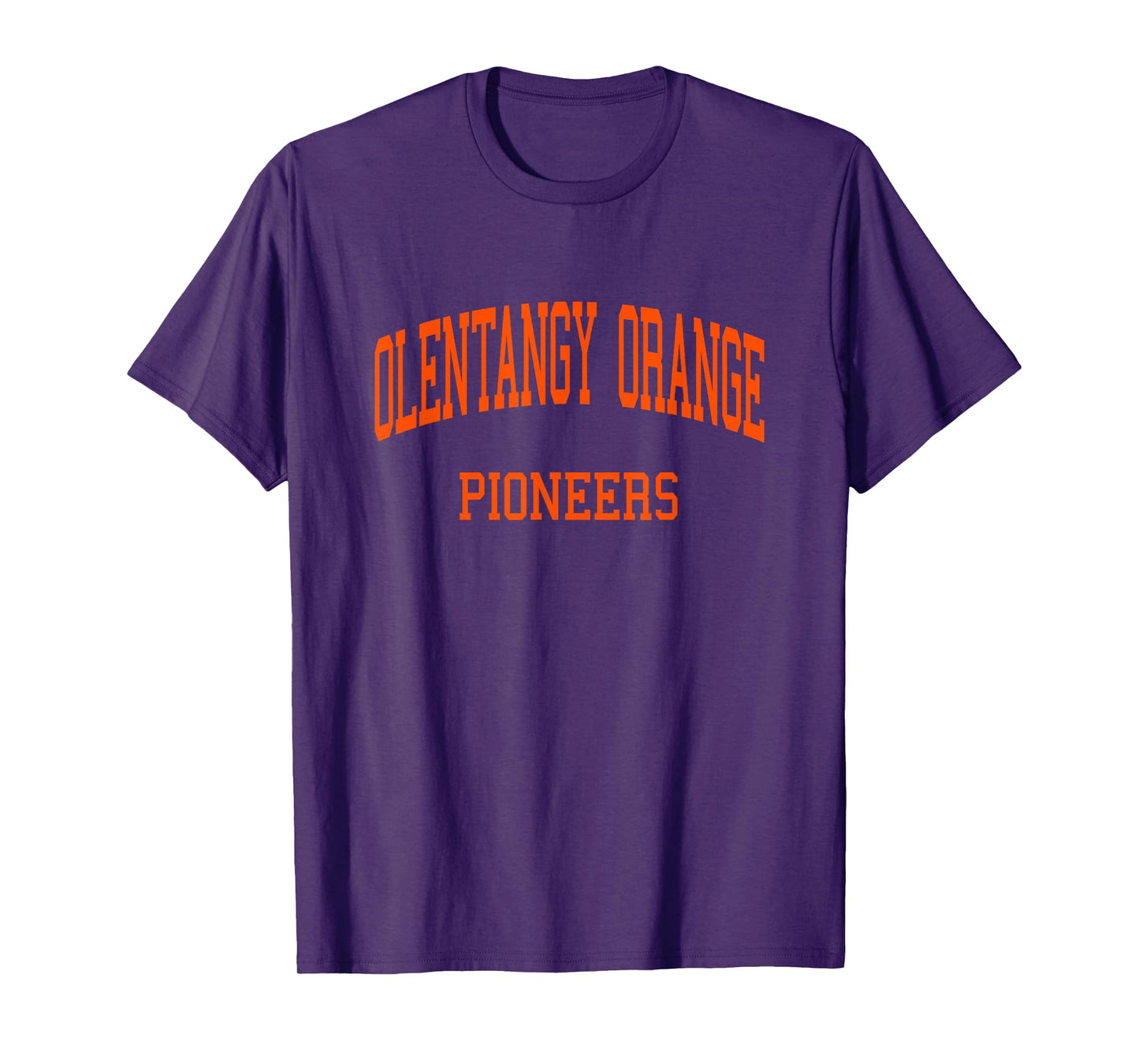 Olentangy Orange High School HS Lewis OH Retro Sports T-Shirt