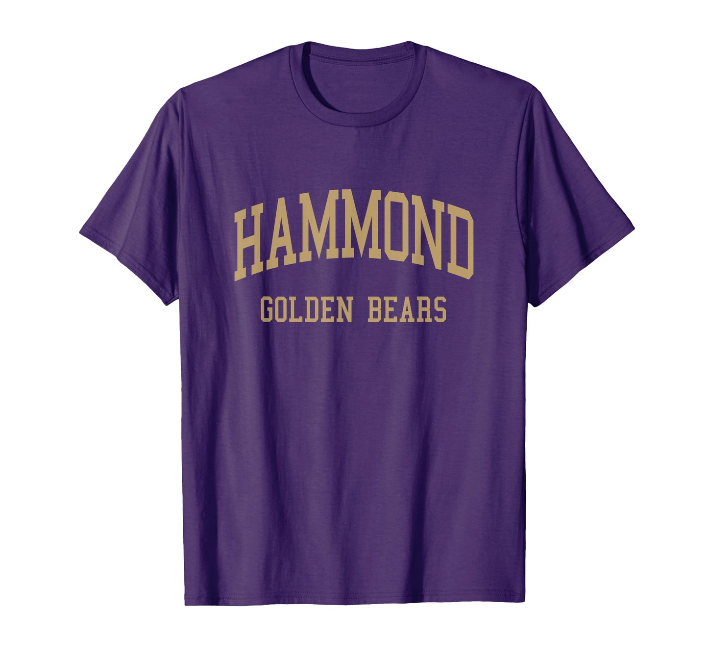 Hammond High School HS Columbia MD Retro Sports T-Shirt