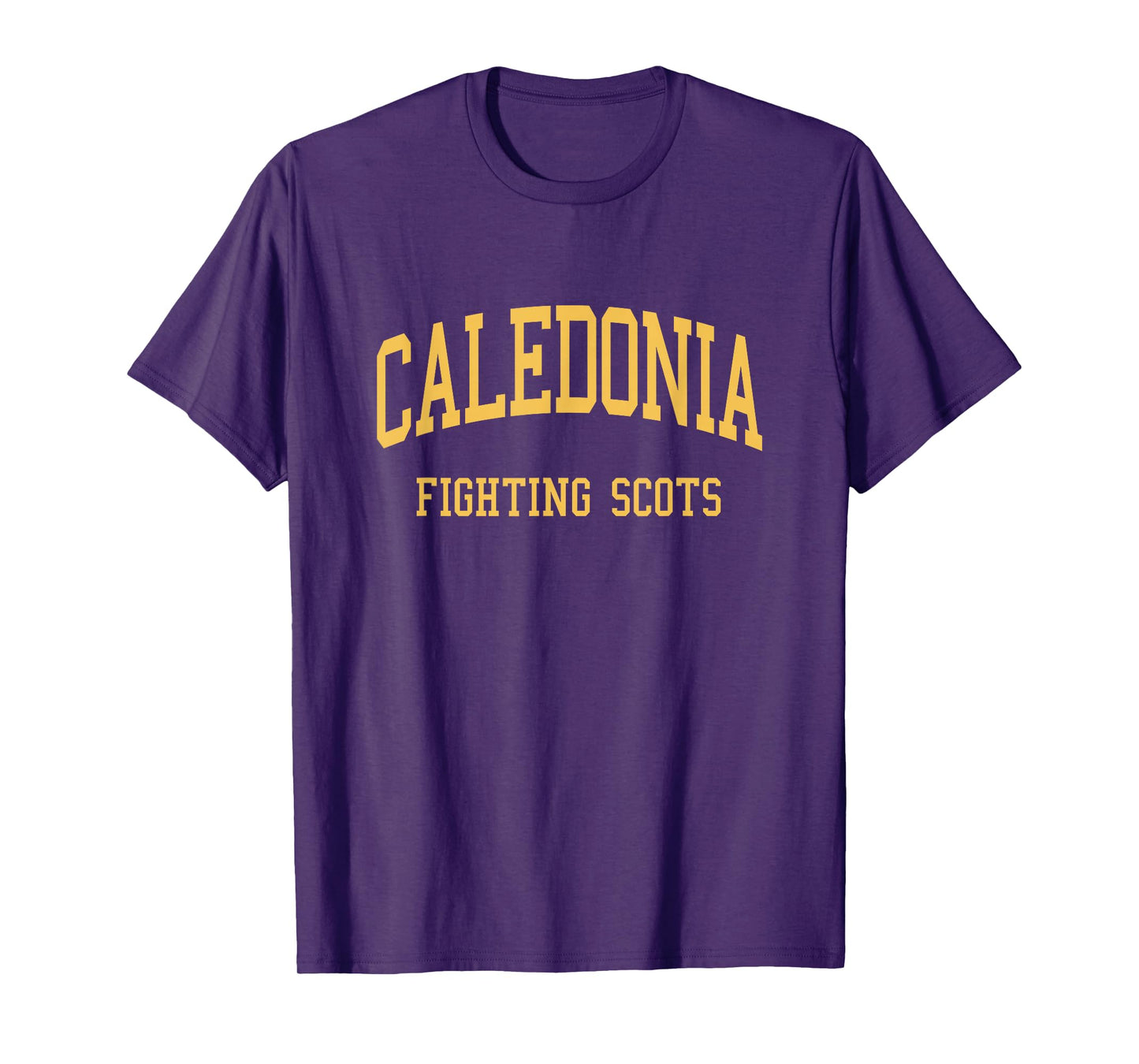 Caledonia High School HS Caledonia MI Retro Sports T-Shirt