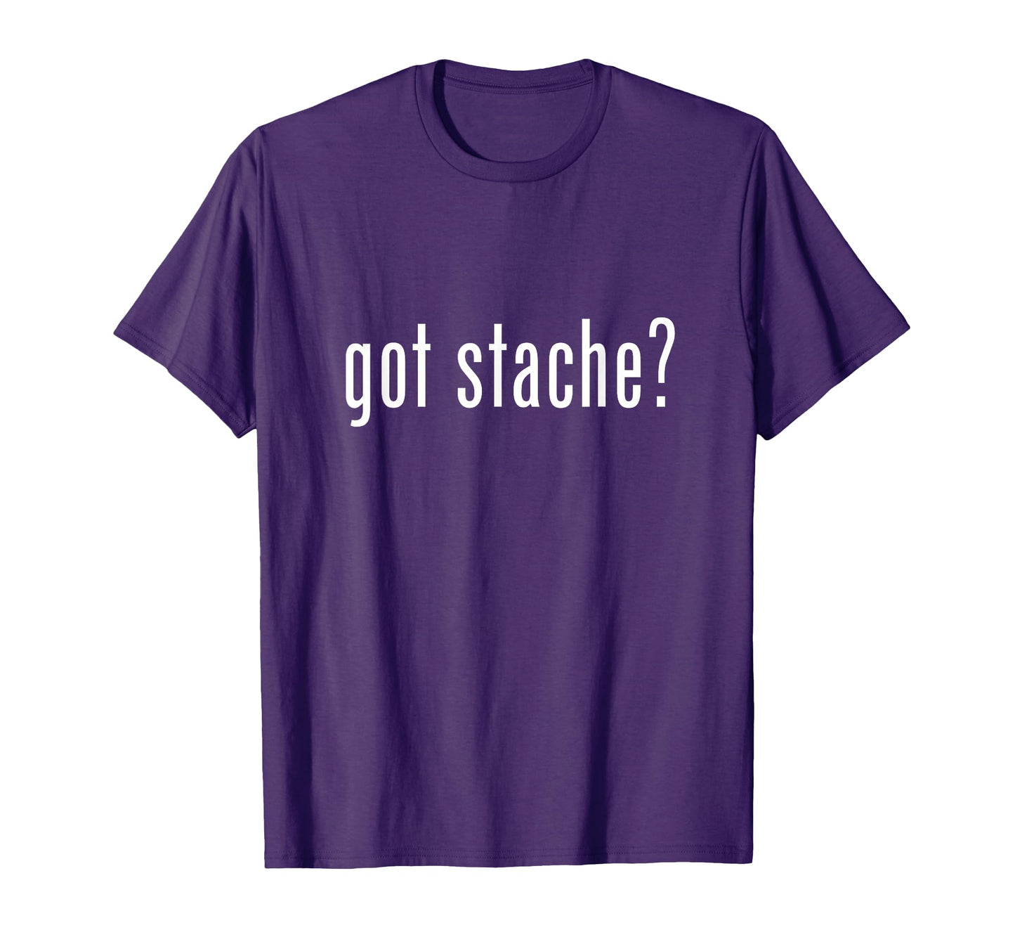 Got Stache? Respect The Stache Mustache Lovers Mustache Ride T-Shirt