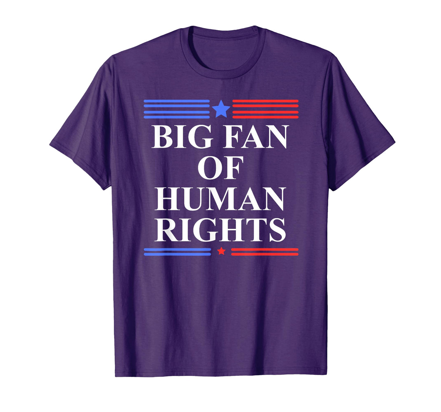 Big Fan of Human Rights Protest Signs No Kings Pro Democracy T-Shirt
