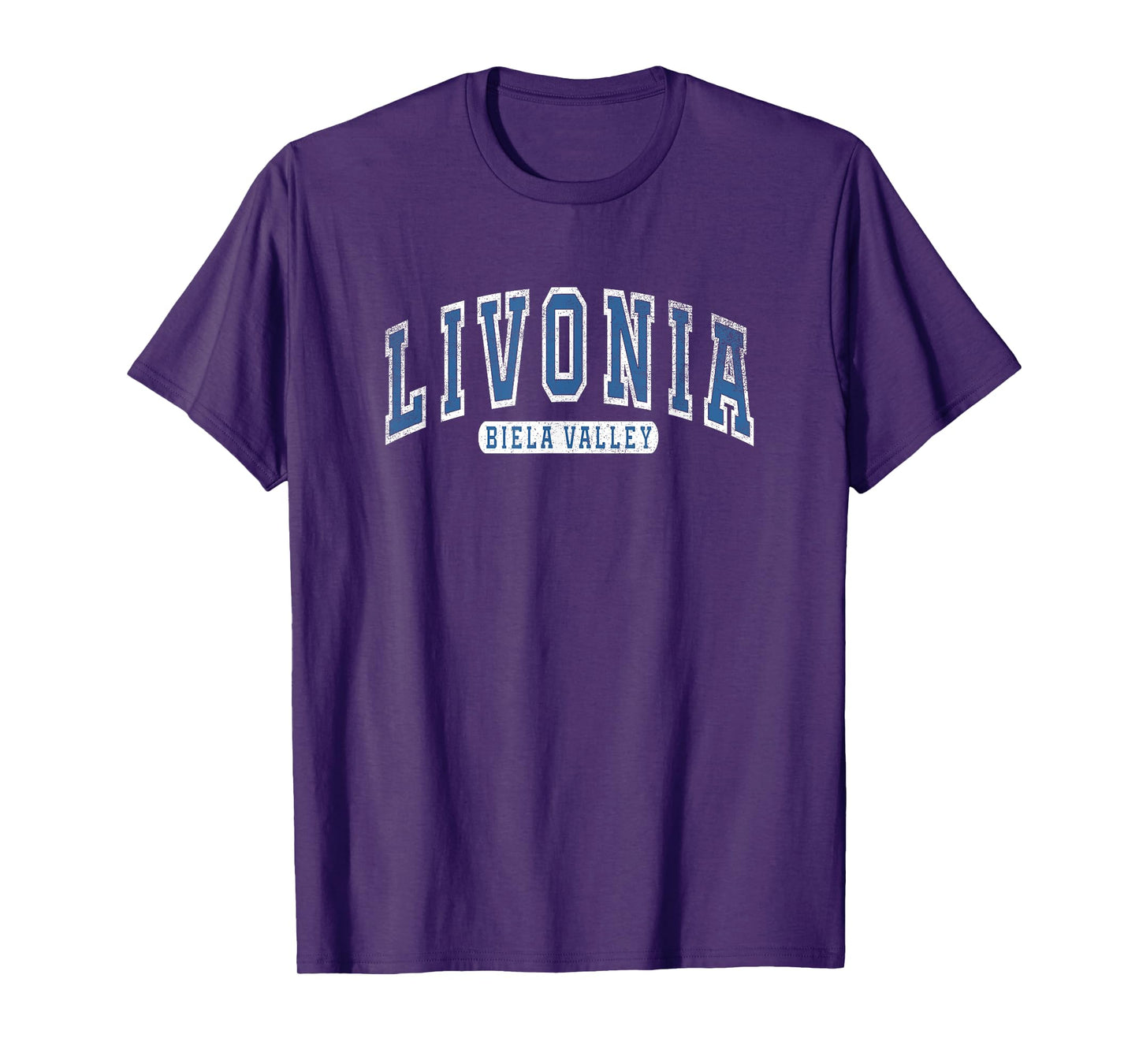 Teamzad Livonia Varsity Dayz Mountains Nature Camping Gamer Gift T-Shirt, Small, Black