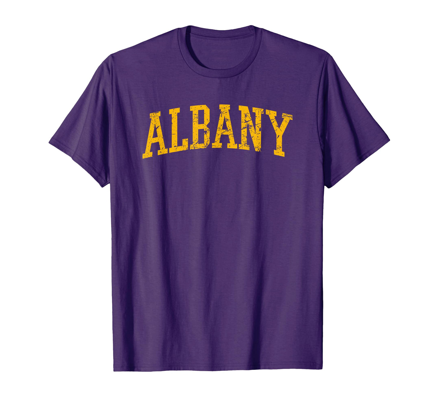 Albany NY- Throwback Design - Vintage Worn Classic T-Shirt