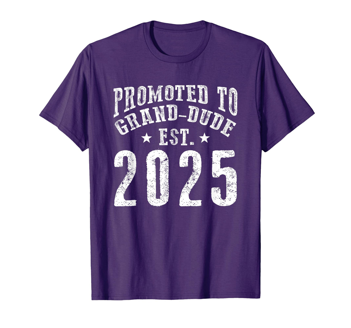 Promoted To Grand-Dude Est 2025 New Coming Grandpa To Be 25 T-Shirt