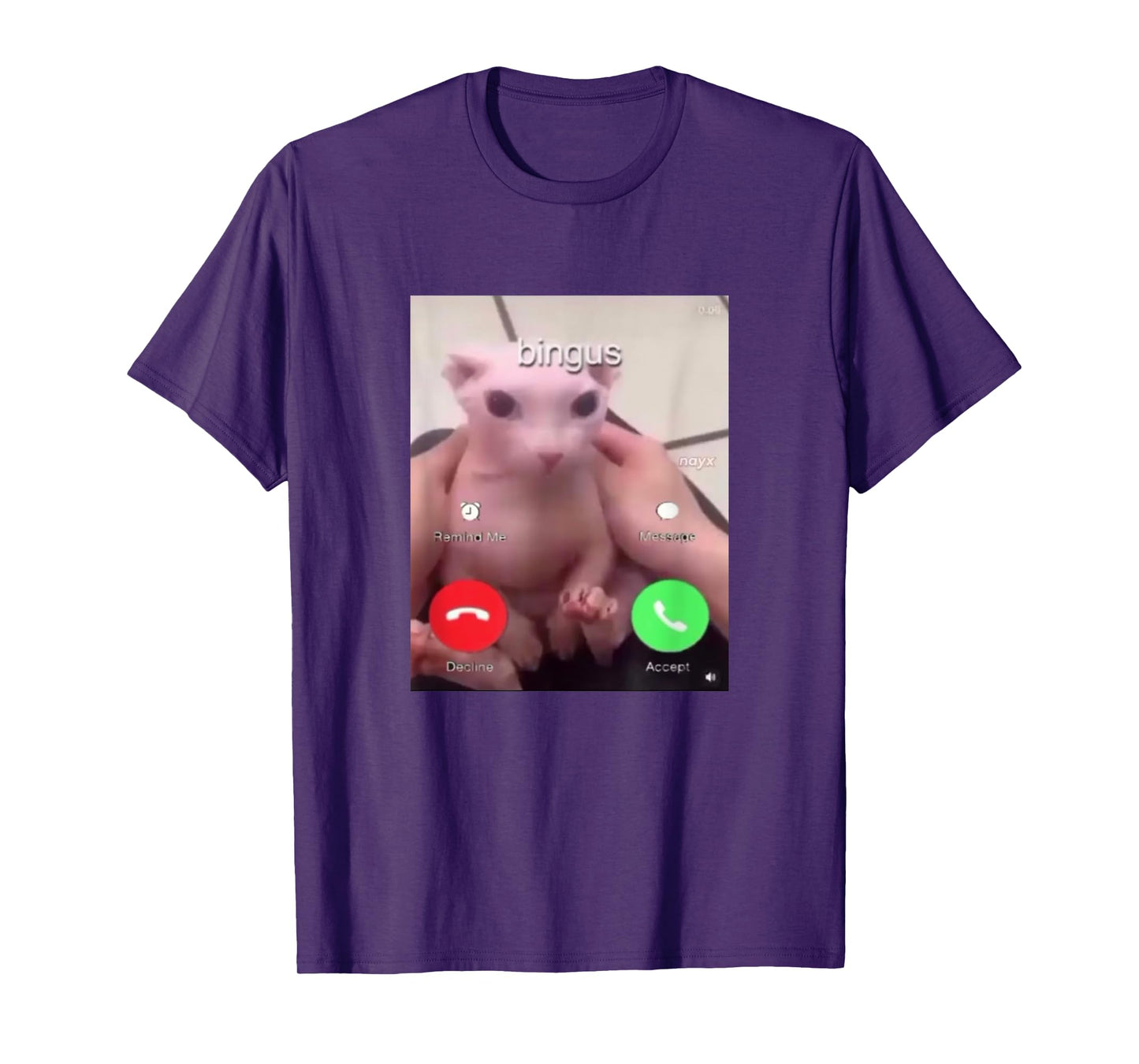 Bingus Is Calling Hairless Sphinx Cat Bingus Cat Meme T-Shirt
