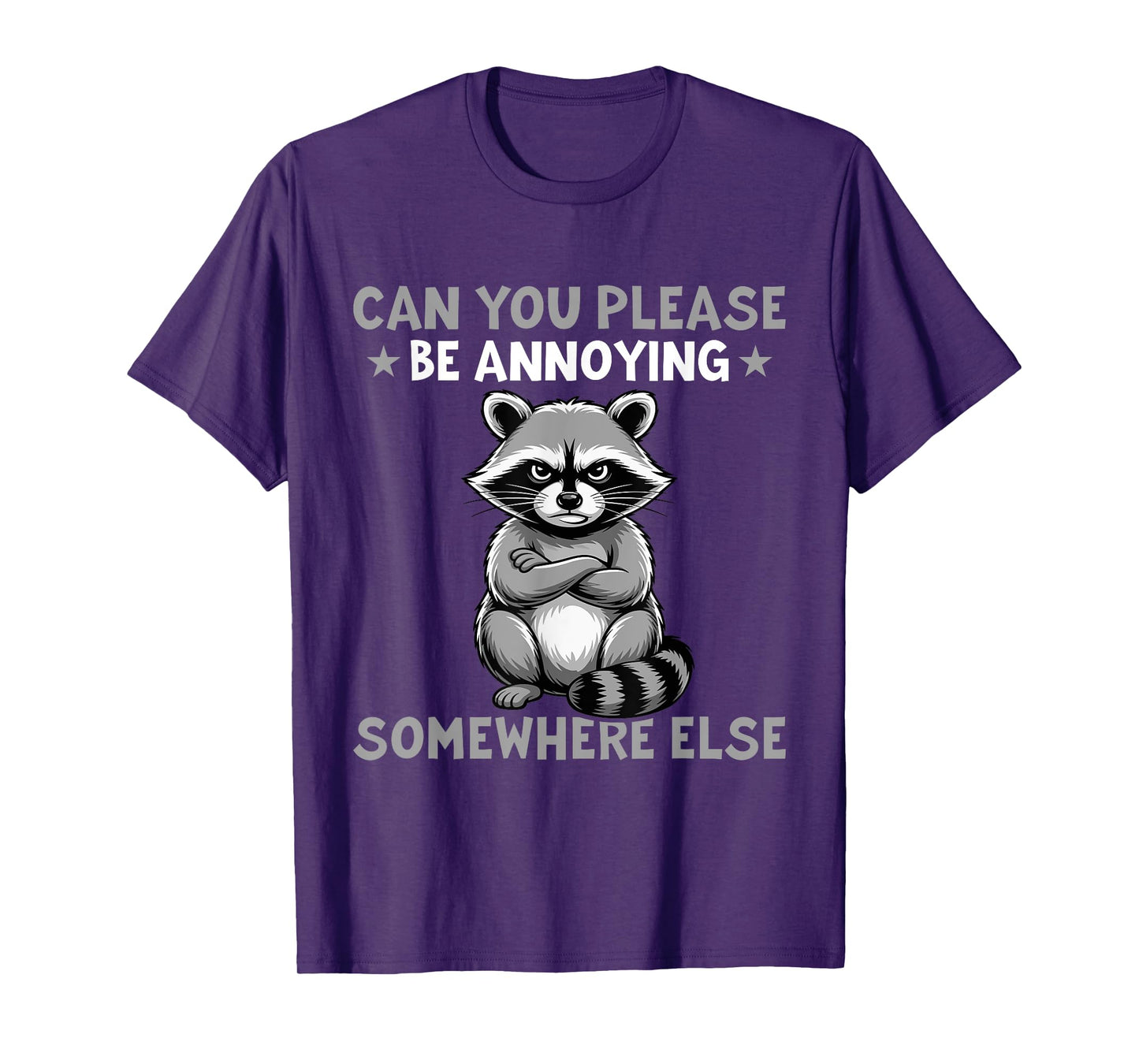Raccoon Please Be Annoying Somewhere Else T-Shirt