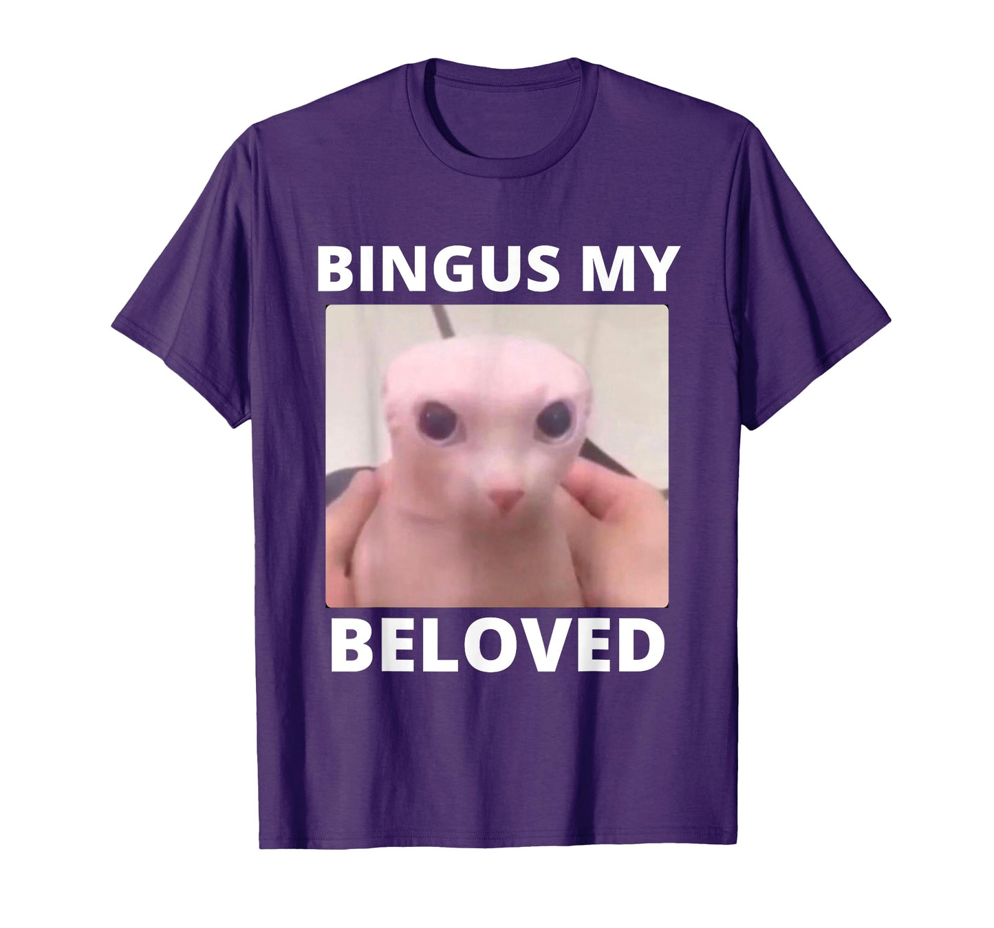 Bald Bingus My Beloved Hairless Sphinx Cat Bingus Cat Meme T-Shirt