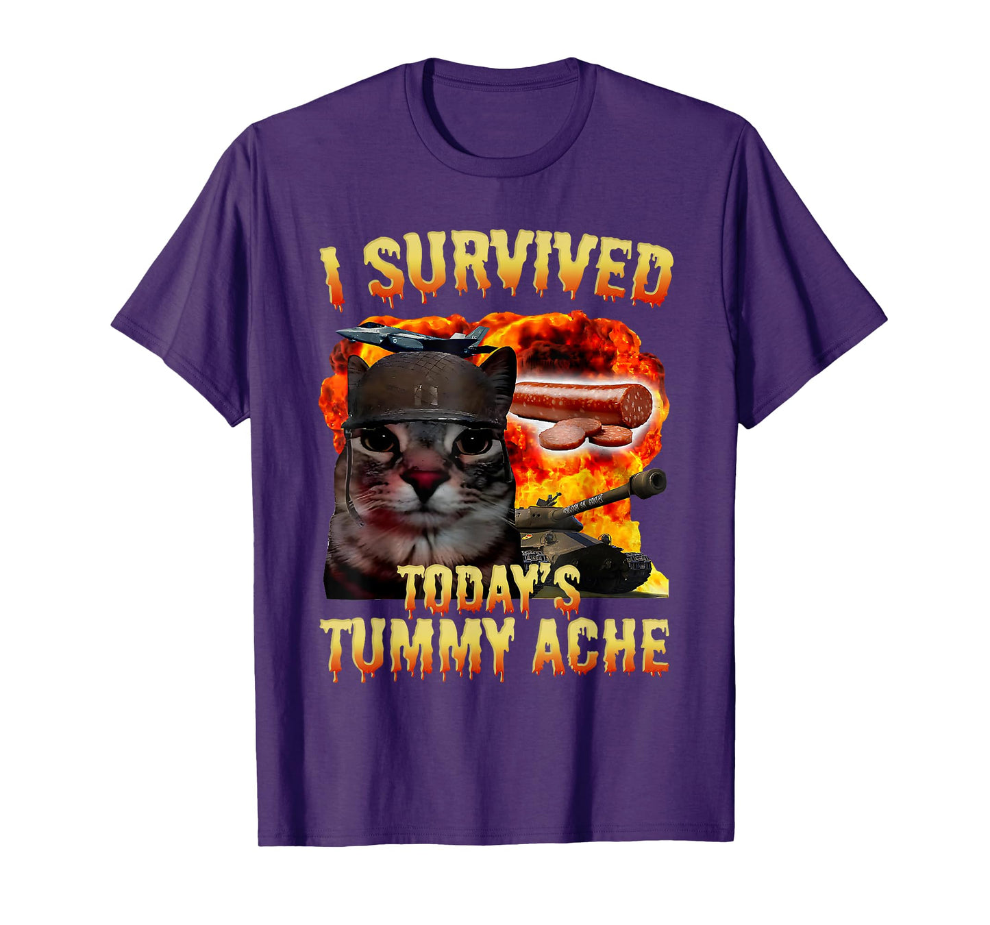 Tummy Ache Survivor Cat Meme Funny Saying Cats Animals Men Women Kids T-Shirt