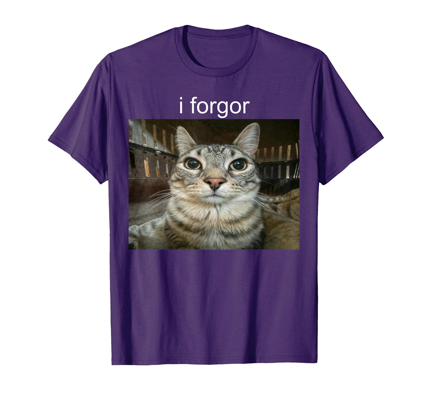 I Forgor Cat T-Shirt