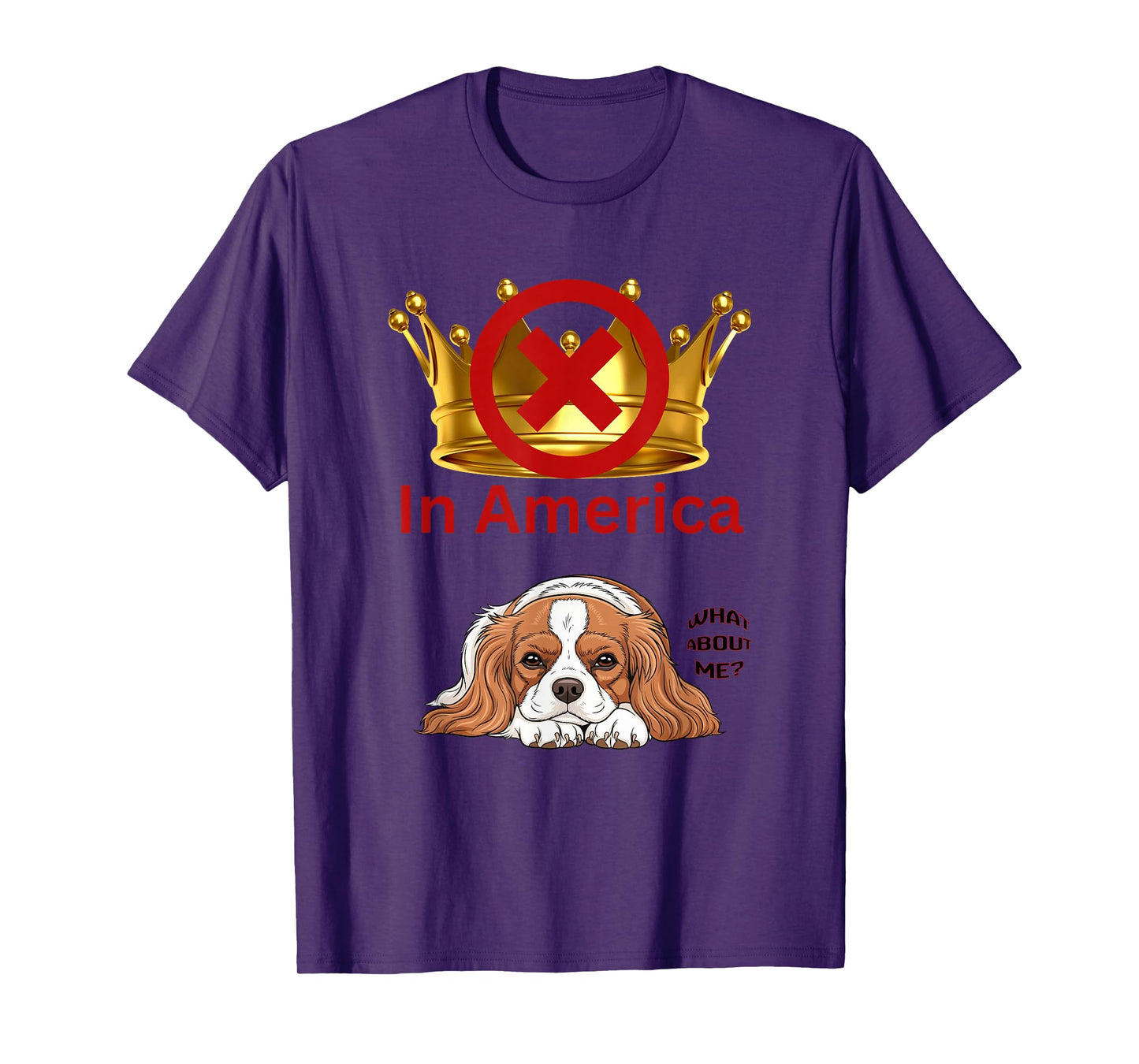 No Kings in America Apparel We The People Democracy USA T-Shirt