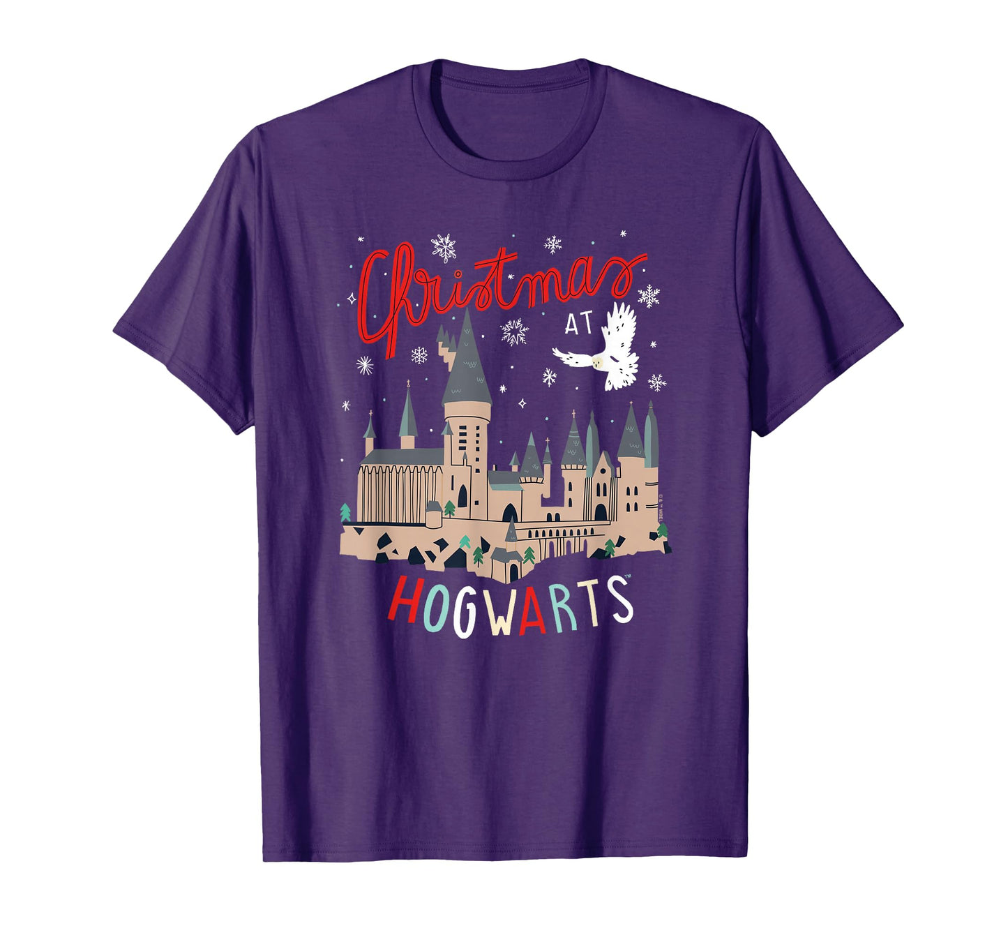 Harry Potter Unisex-Adults Kids Christmas Hogwarts T-Shirt, Black, Small