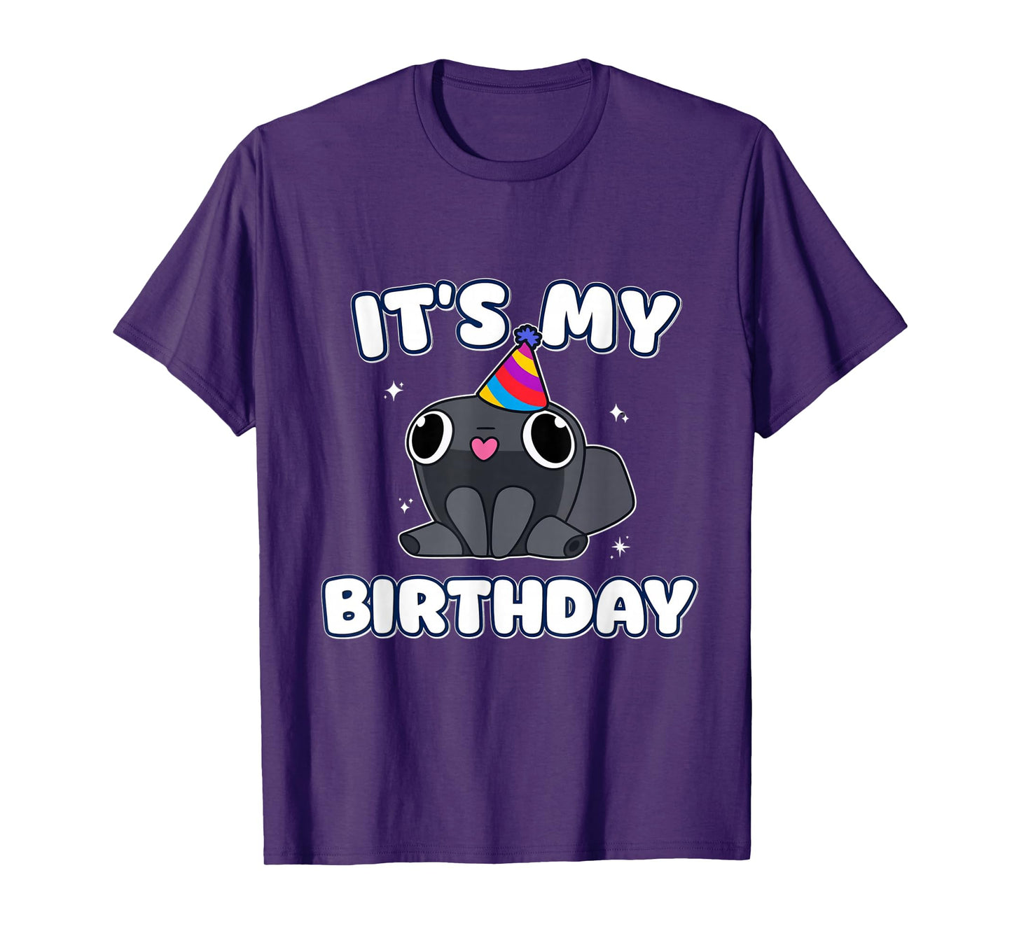 It's My Birthday Minimalist Funny dandy's Humor Decoration T-Shirt