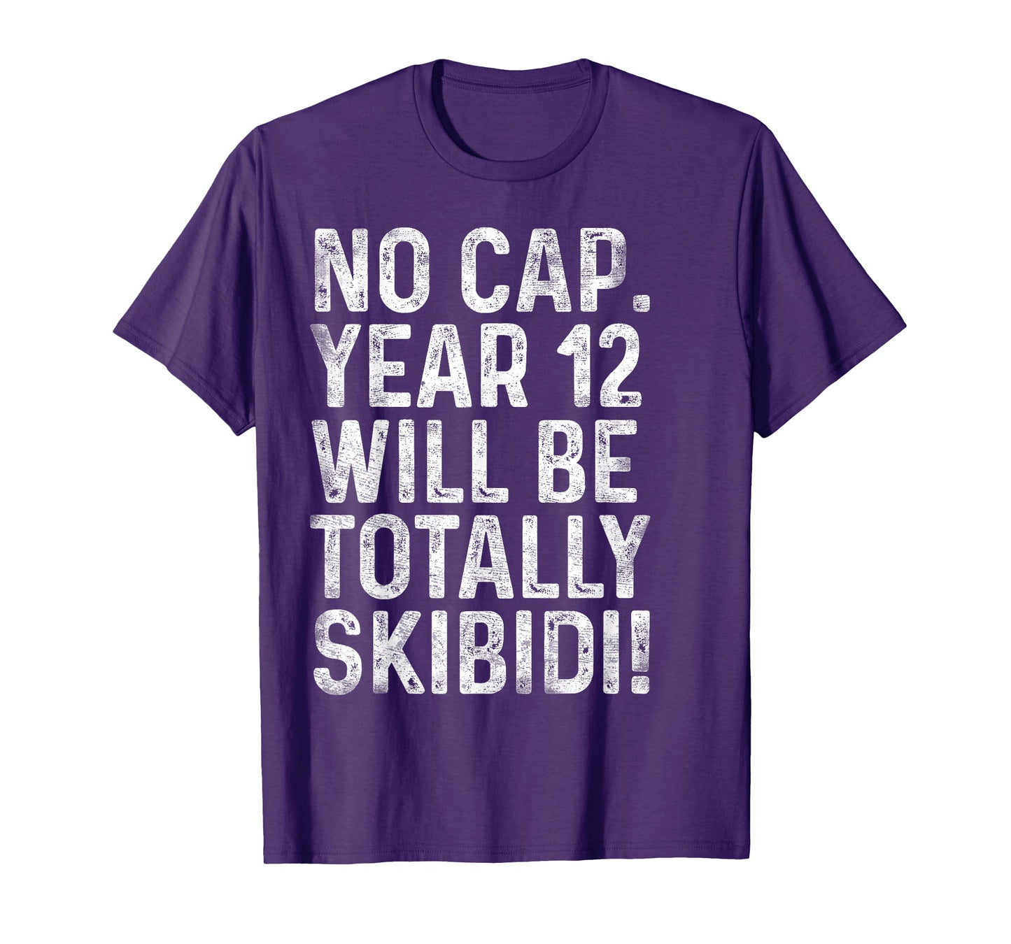 Funny 12 Year Old Gifts BDay Boy 12th Birthday Born in 2013 T-Shirt