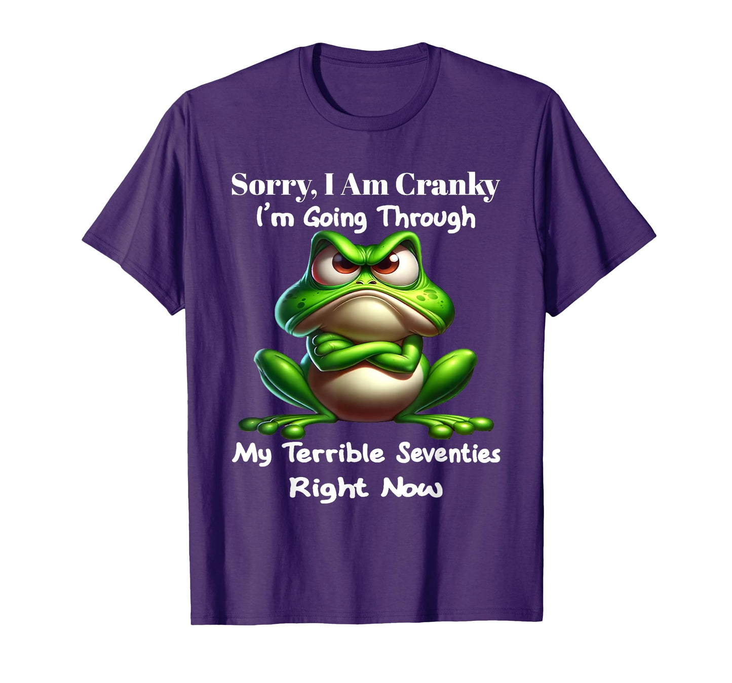 Sorry I Am Cranky I’m Going Through My Terrible Seventies T-Shirt
