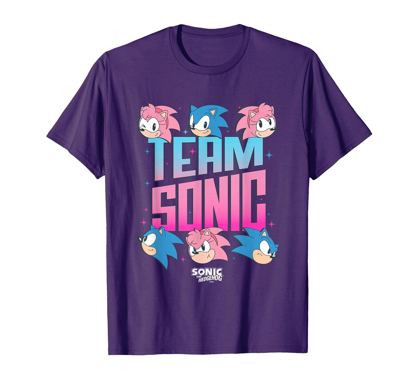 Sonic The Hedgehog Team Sonic Amy Rose Retro Logo T-Shirt