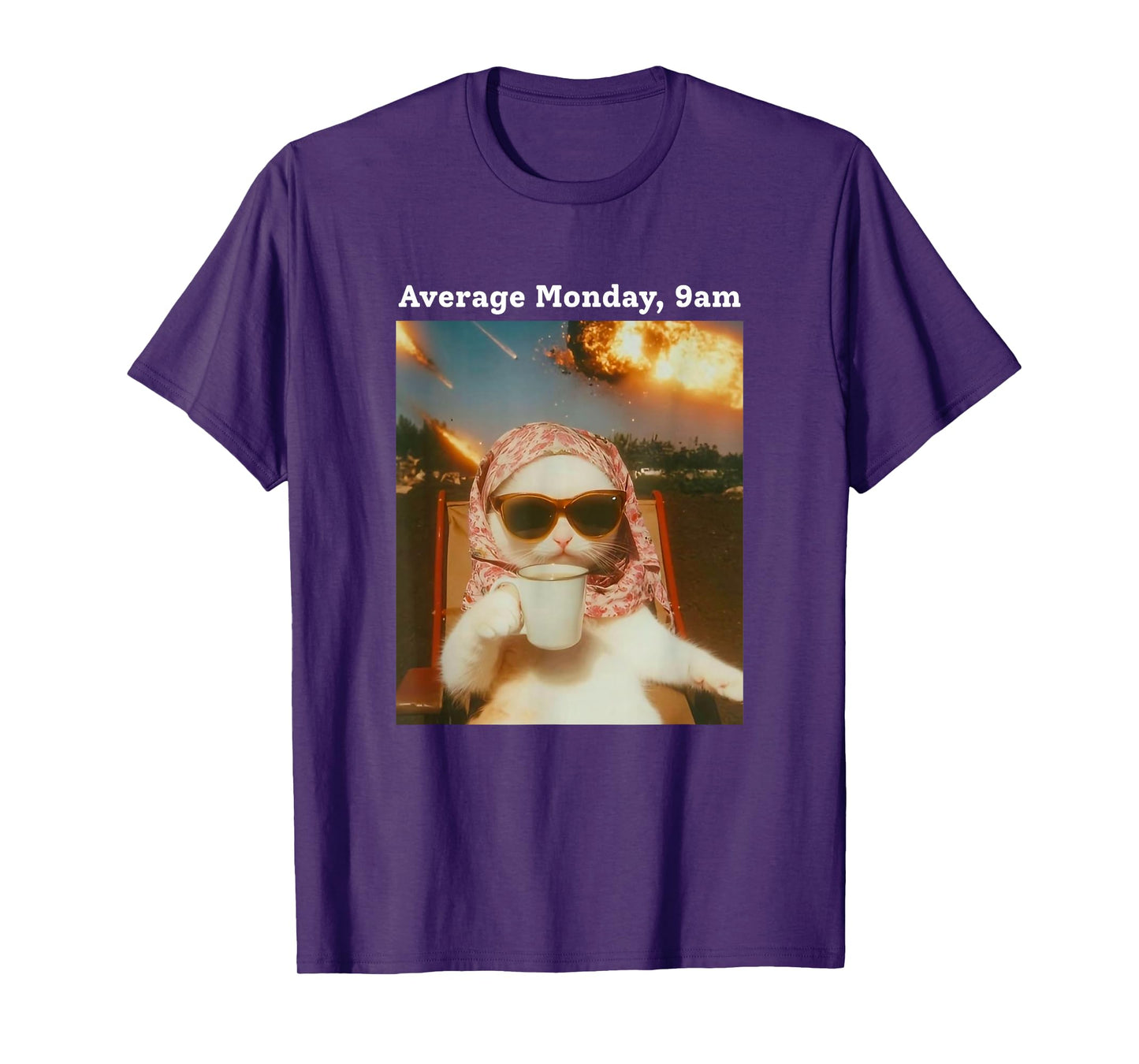 Cat Meme Average Monday 9AM Funny Sarcastic Back to Work Tee T-Shirt
