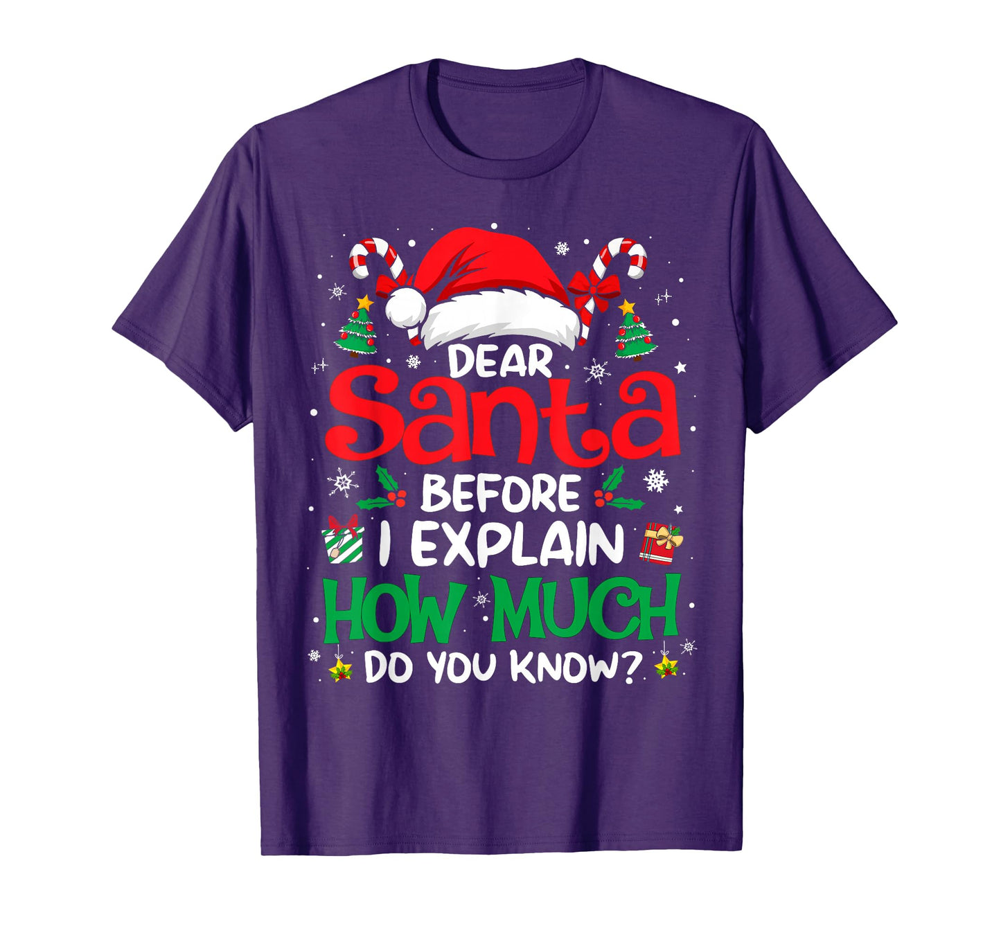 Dear Santa I Can Explain Funny Christmas Men Women Kids T-Shirt