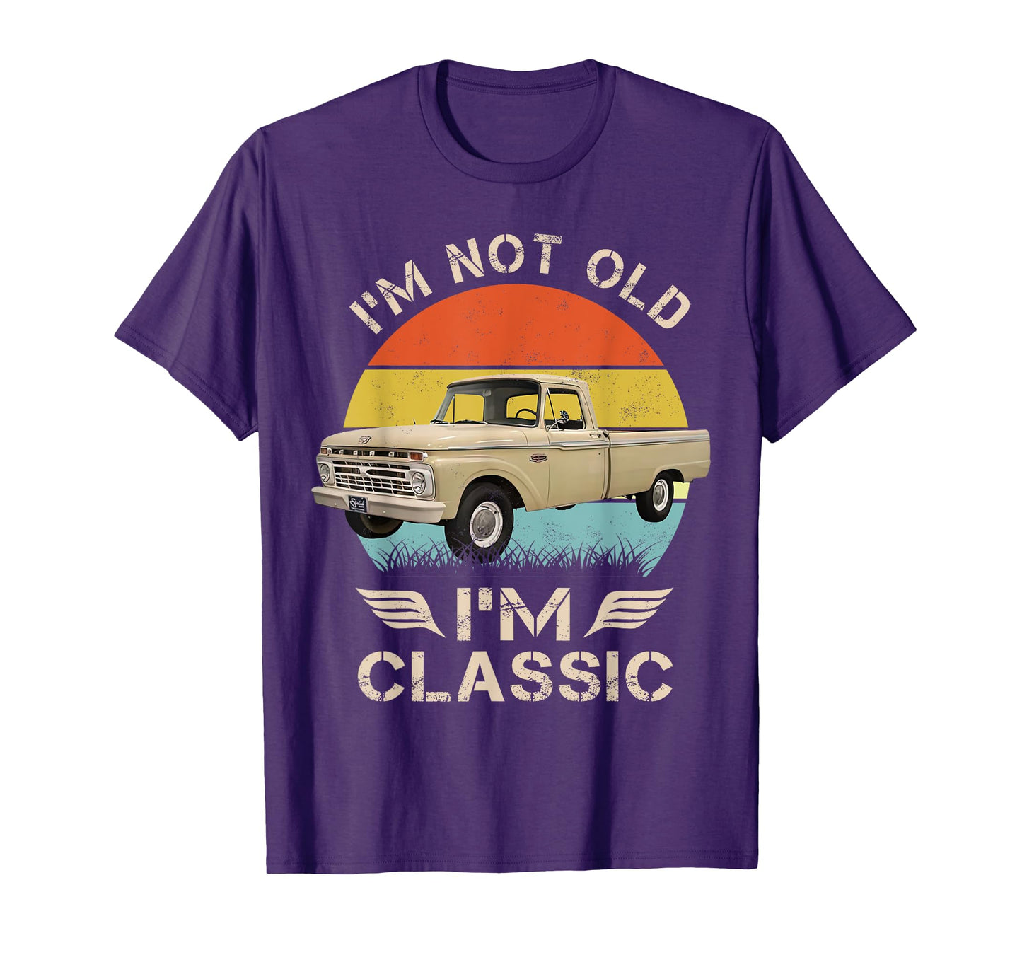 1966 classic f100 Beige T-Shirt, Small, Black