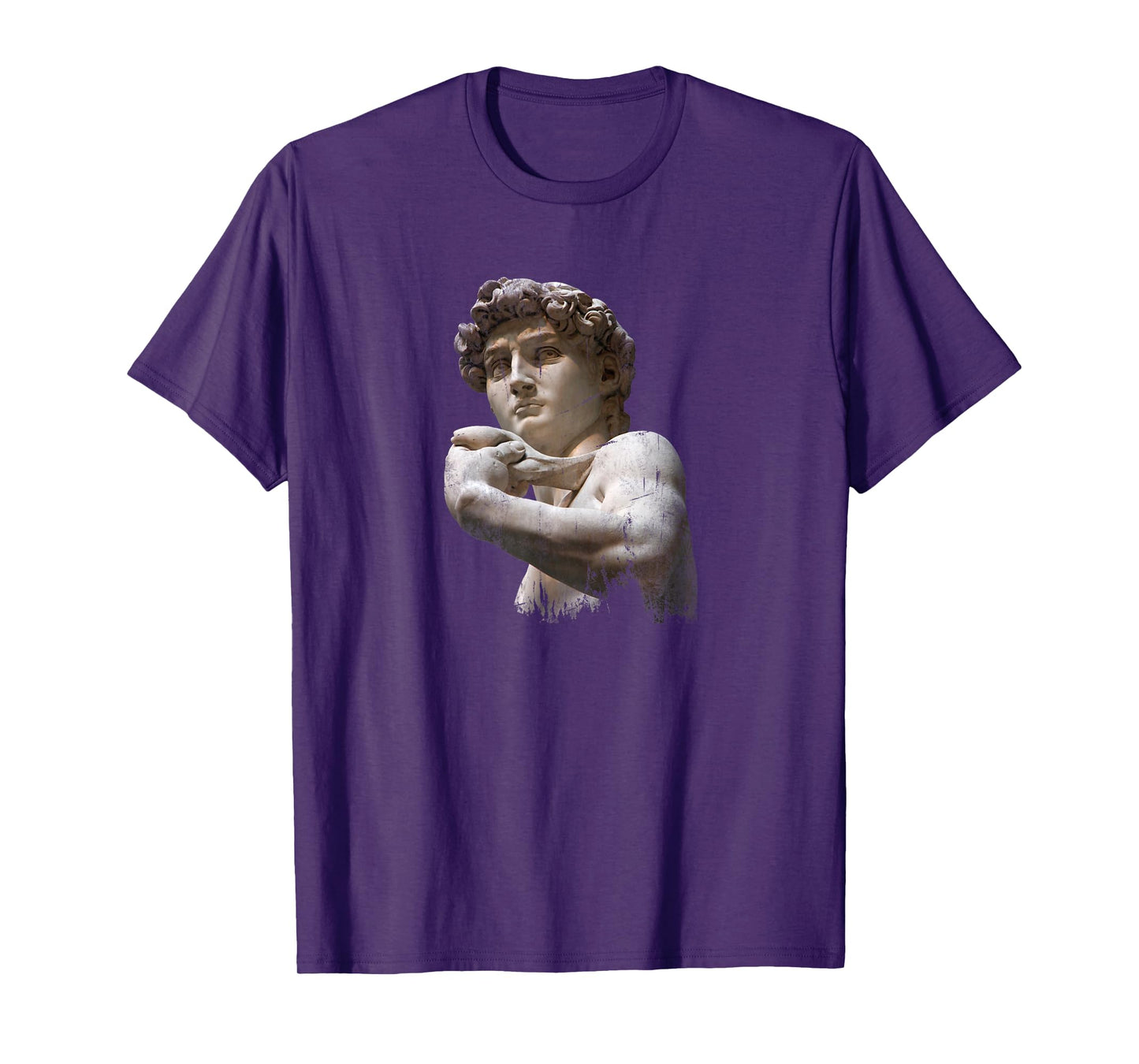 Michelangelo David for Art and Aesthetic Lover T-Shirt