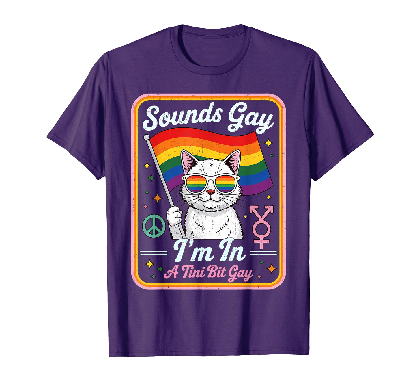 Hilarious LGBTQ Cat Holding Flag with A Tini Bit Gay Quote T-Shirt for Men Women Kids