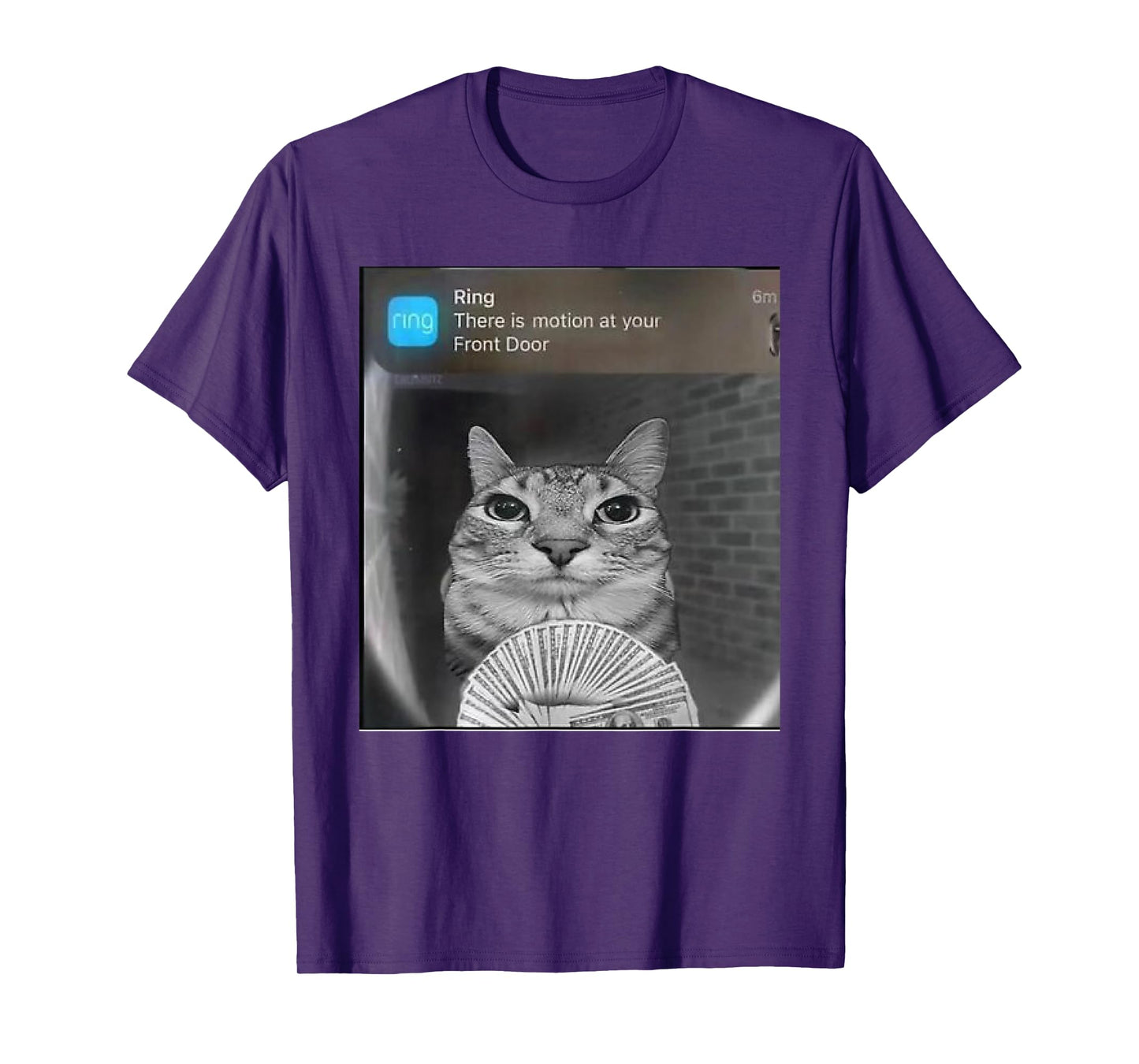 Ring Cat with Motion Meme T-Shirt