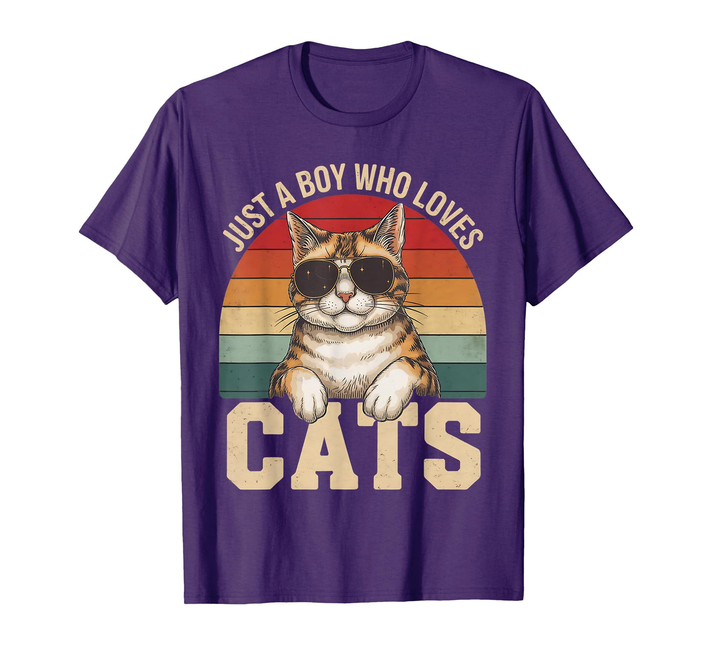 Just A Boy Who Loves Cats Cat Lover T-Shirt