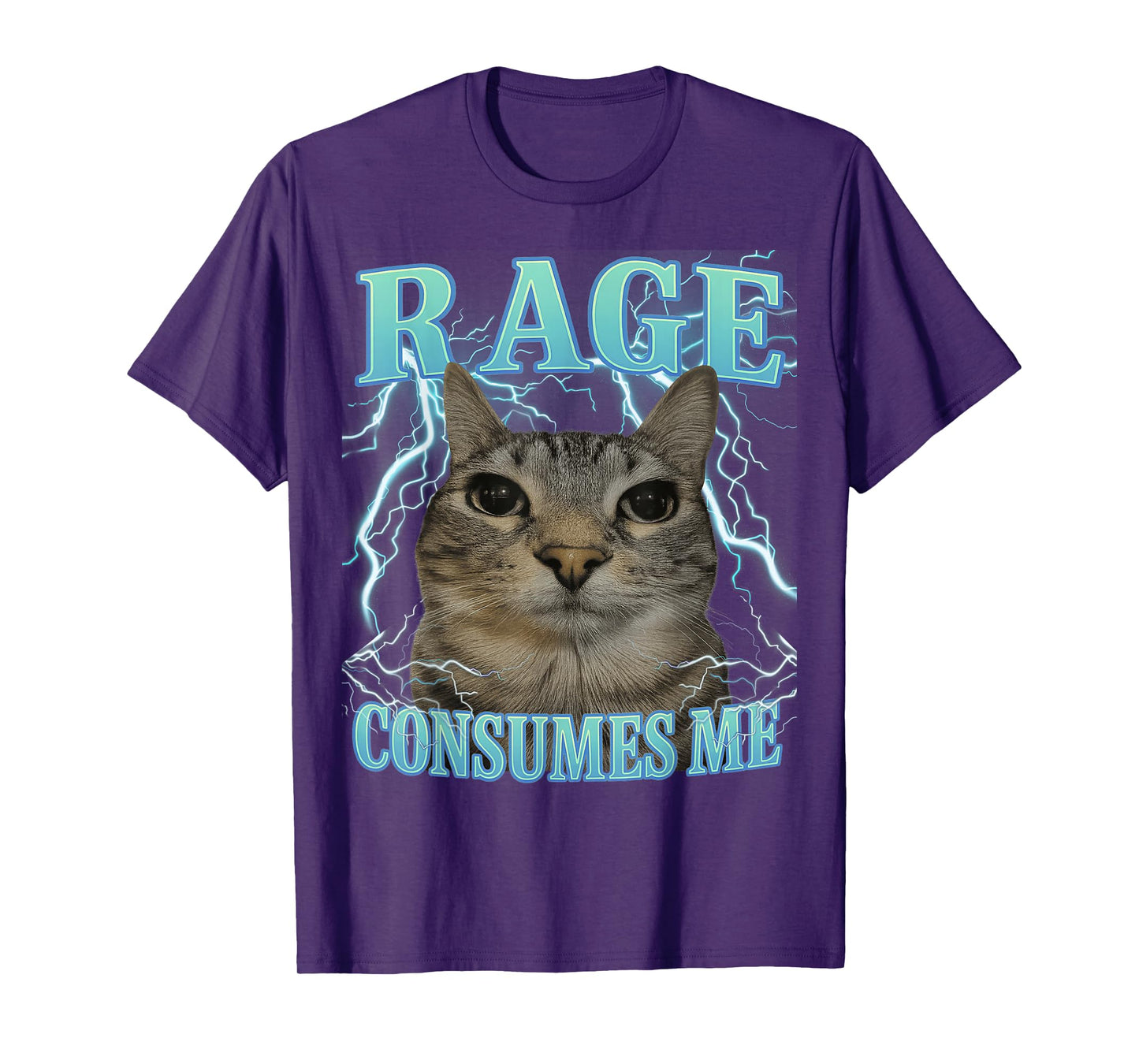 Rage Consumes Me Cat Silly Cat Meme Funny Men Women Graphic T-Shirt