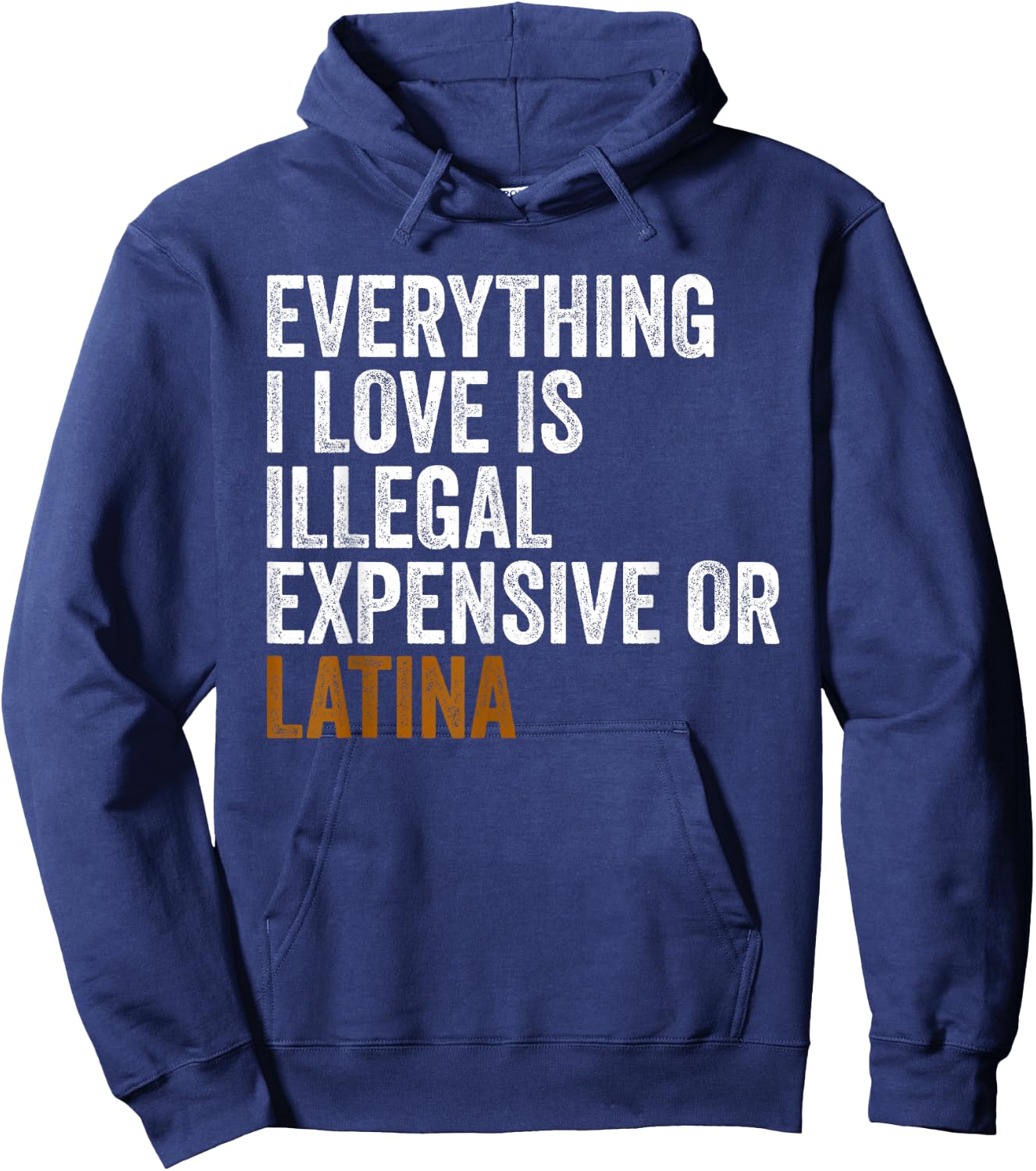 Funny EVERYTHING I LOVE IS ILLEGAL EXPENSIVE OR LATINA Hoodie - Hoodie | Navy
