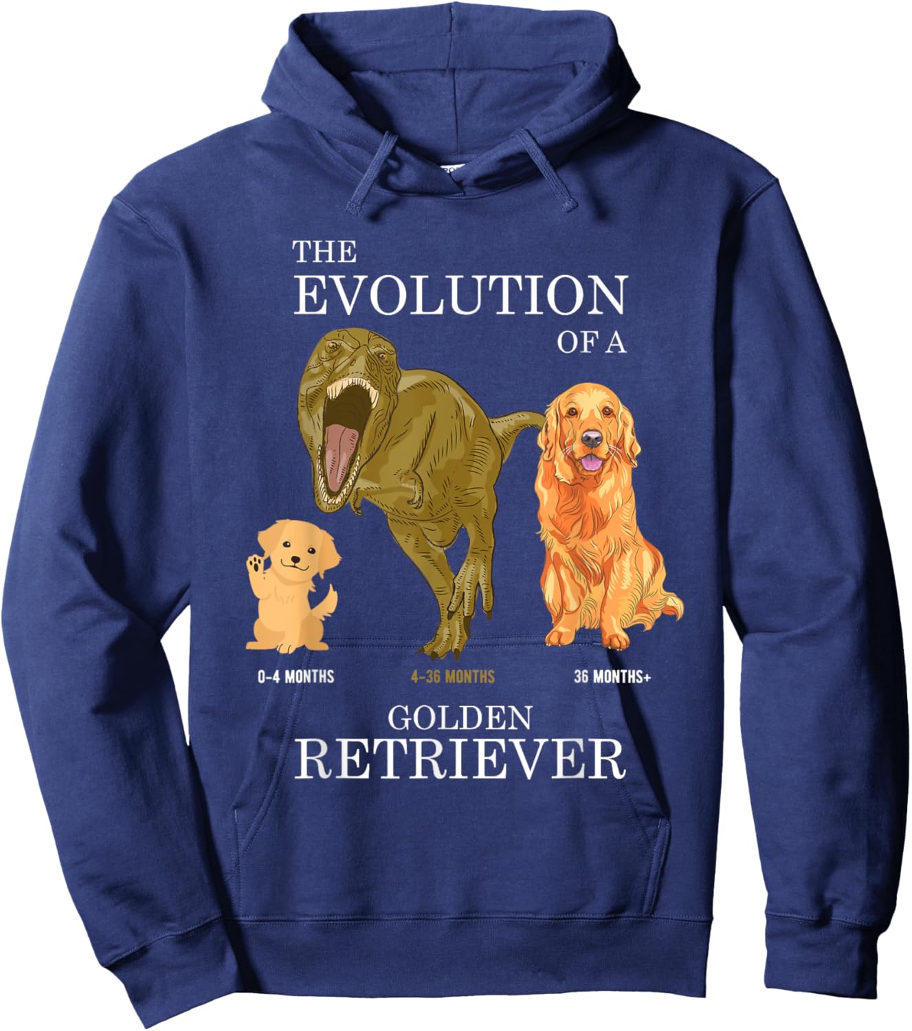 The Evolution of a Golden Retriever or Evolution of dogs Hoodie - Hoodie | Navy