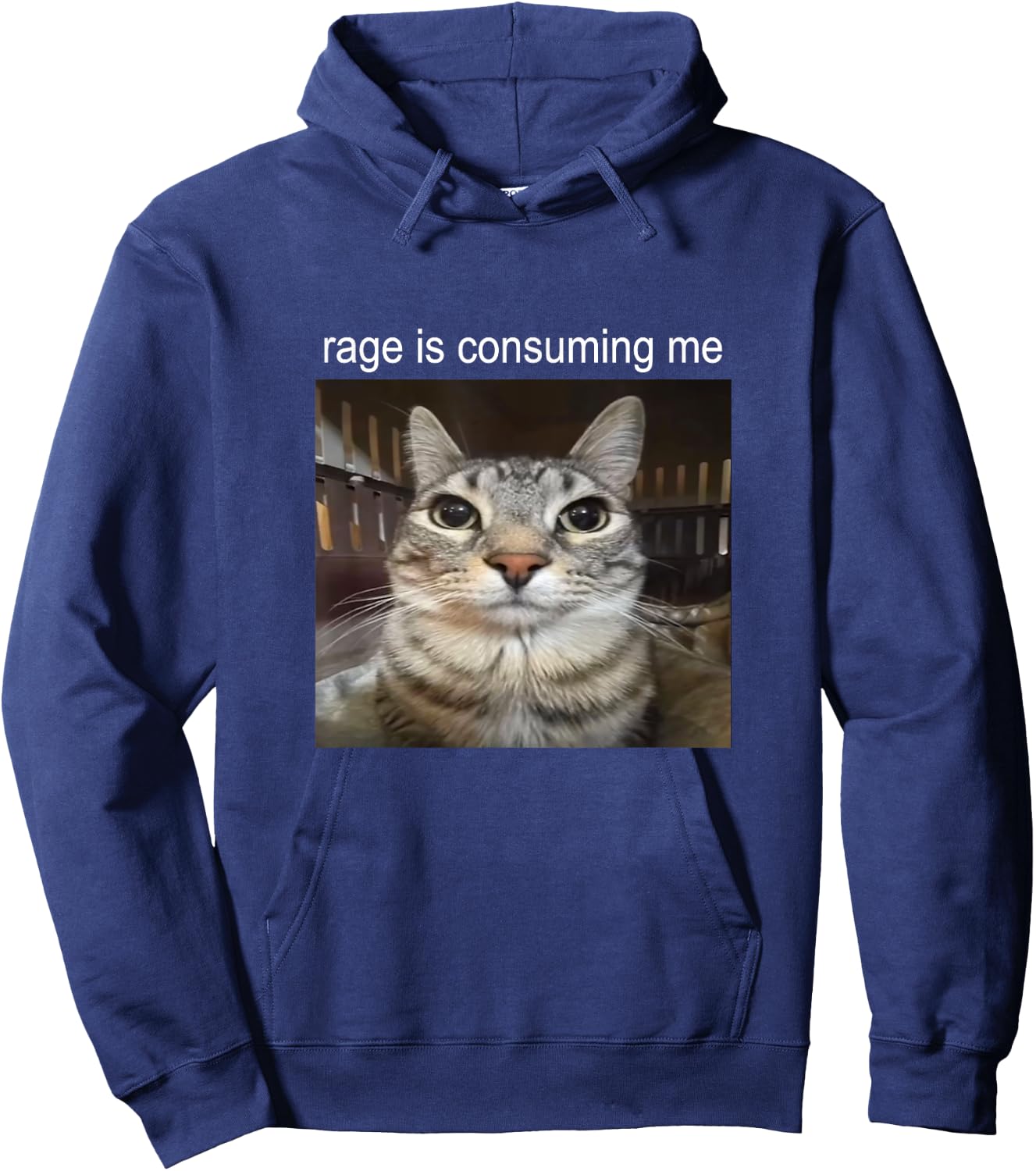 Rage is Consuming Me Silly Staring Cat Meme Hoodie - Hoodie | Navy
