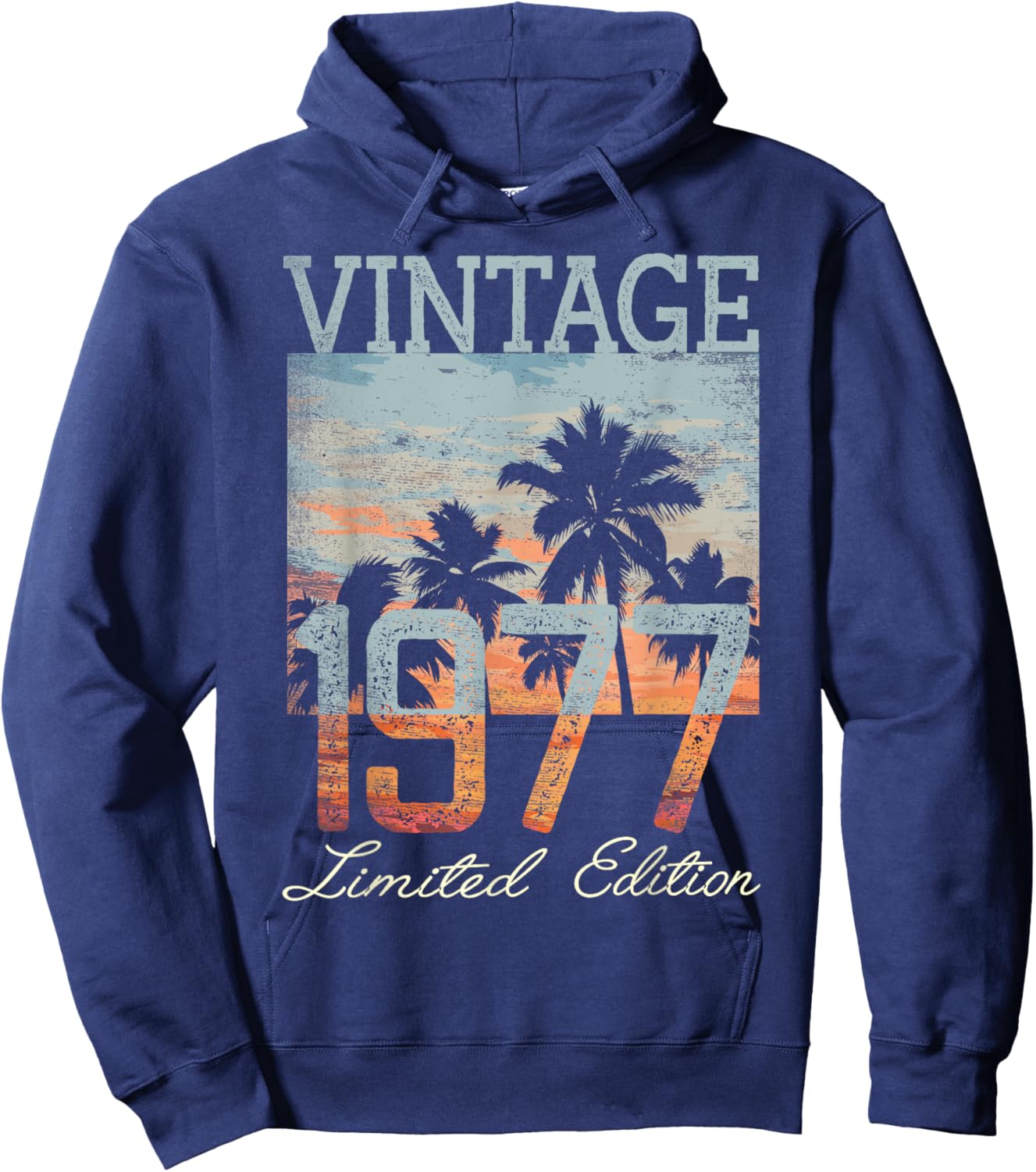 Vintage 1977 Limited Edition 48 Year Old Gifts 48th Birthday Hoodie - Hoodie | Navy