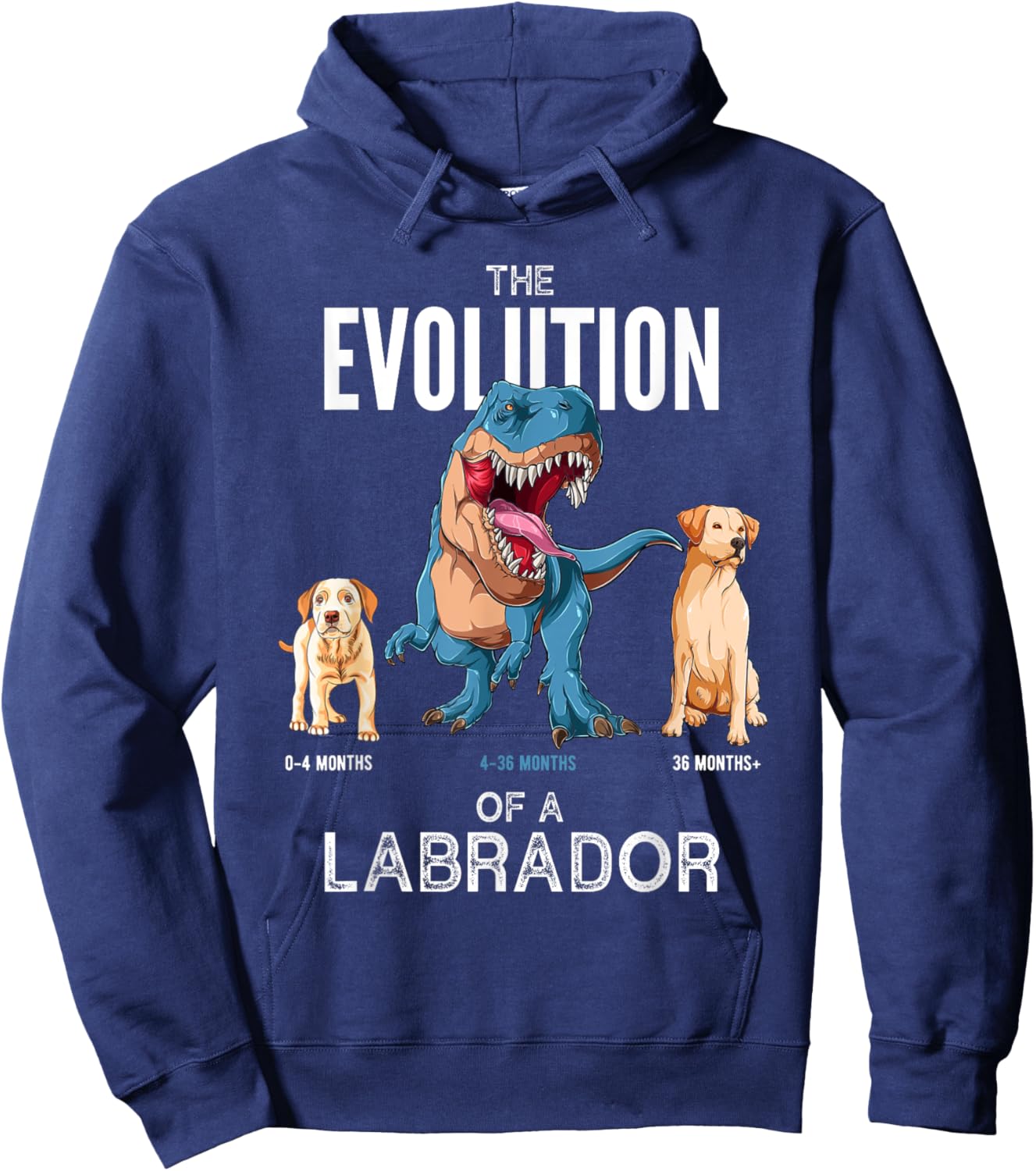 The Evolution of a Labrador or Evolution of dogs Hoodie - Hoodie | Navy