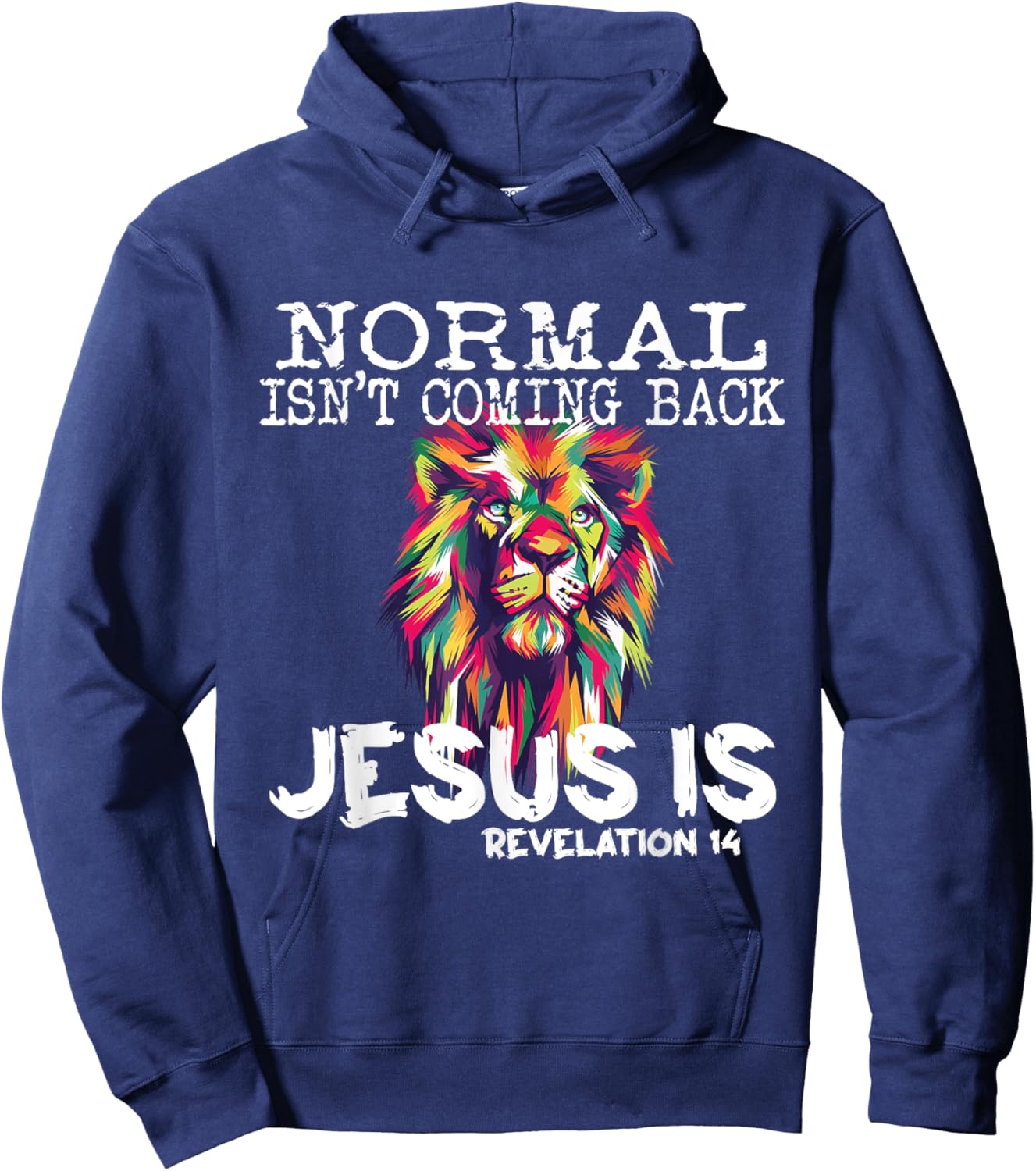Normal Isnt Coming Back Jesus Is Hoodie - Hoodie | Navy