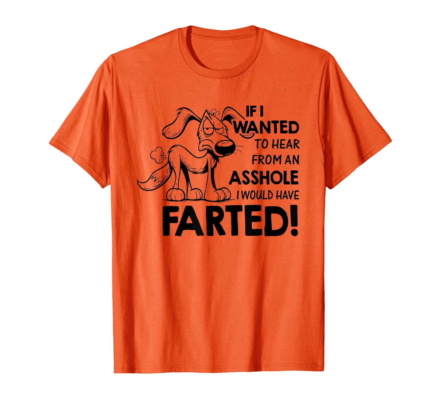 If I Wanted to Hear from an Asshole I Would Have Farted T-Shirt