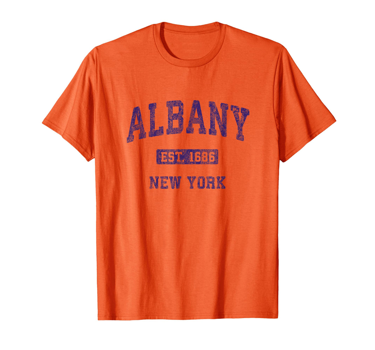 Albany New York Vintage Athletic Sports Design T-Shirt